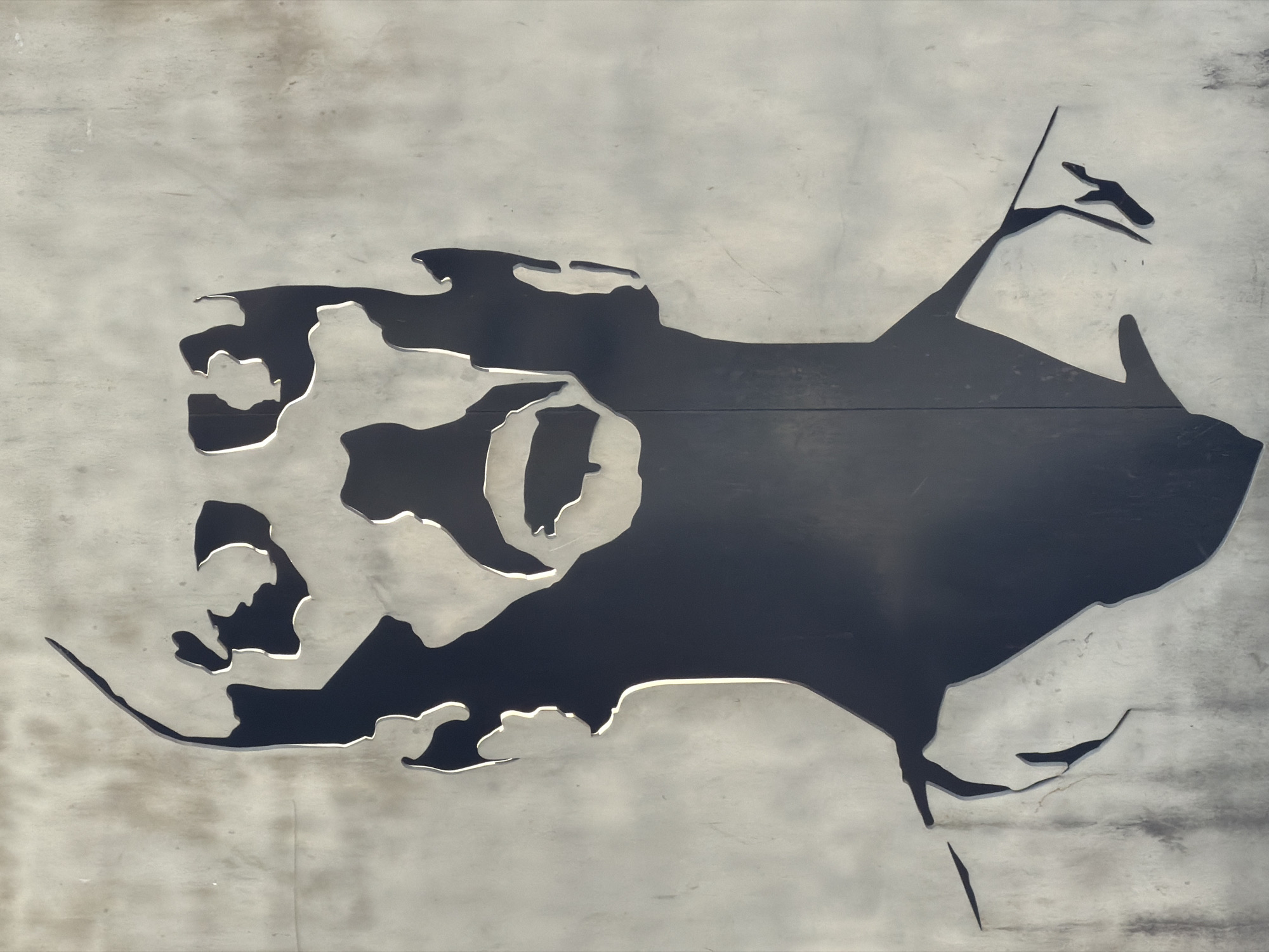 A large, dark silhouette artwork is carved into a textured, light grey wall, likely a public art installation in Tbilisi, Georgia. The prominent feature of the artwork is the profile of a bearded person's head, facing right, with striking circular and oval cutouts forming the eye and other distinct facial contours. This central figure conveys a sense of solemnity or historical importance.
Integrated within and around this main profile are abstract forms and other shapes. On the far right, an elongated shape extends upwards, appearing to be an arm holding a slender flag or staff, with a small, stylized hand at its peak. Other subtle outlines beneath and to the left of the main face could suggest additional figures or symbolic elements, adding layers to the composition.
The artwork itself is a dark, almost black, shape deeply recessed into a lighter, possibly metallic or concrete, background. The edges of the silhouette show subtle highlights, indicating the depth of the carving. The lighting is soft and even, suggesting daylight, possibly overcast conditions, as there are no harsh shadows. The wall surface exhibits a fine, somewhat rough texture with minor blemishes and streaks. There is no discernible activity taking place, as the image captures a static, public art piece. No text is visible in the image.