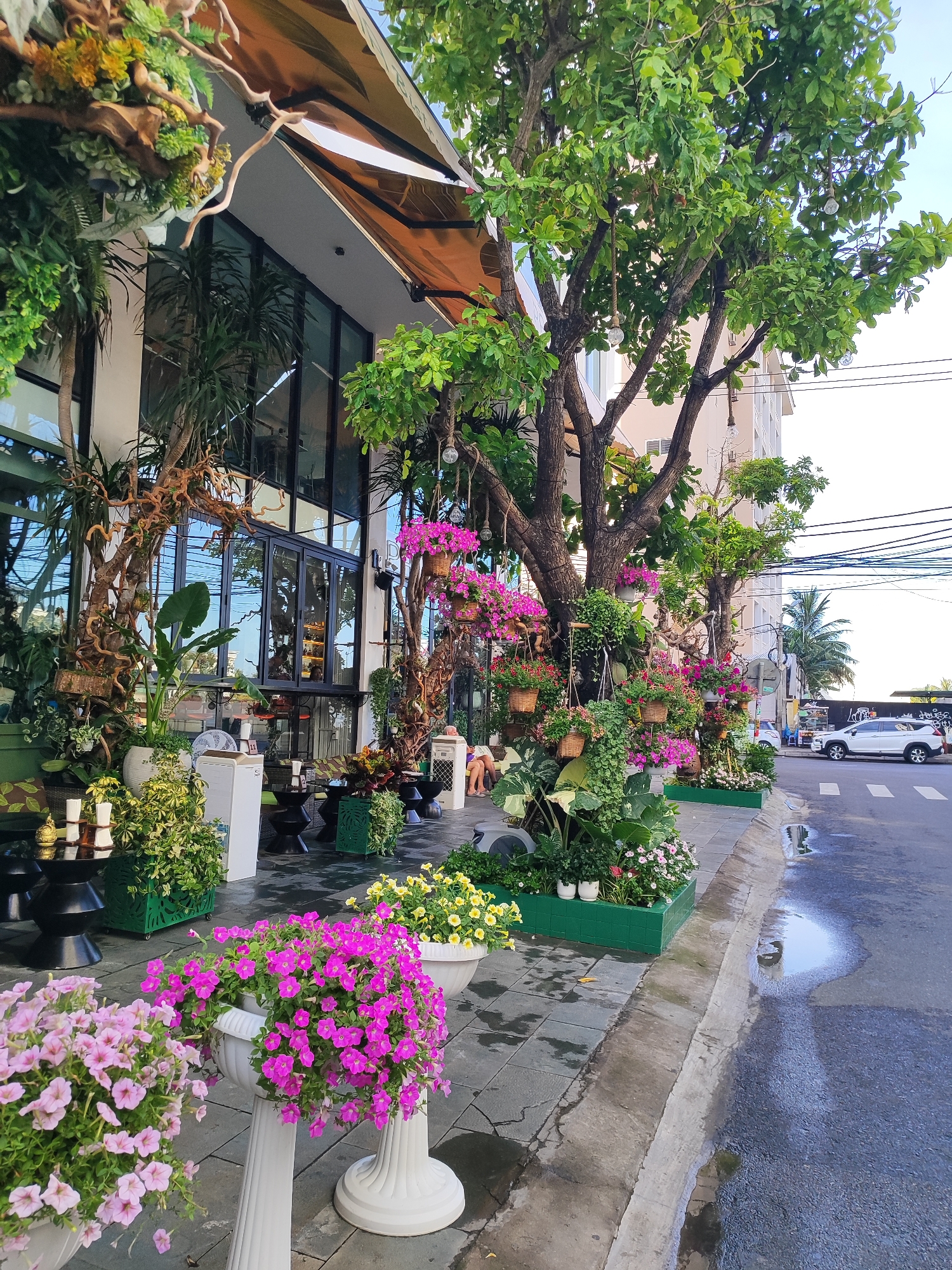 The image depicts the exterior of a building in Da Nang, Vietnam, with an emphasis on lush floral arrangements and greenery lining the sidewalk. The building features large glass windows and an awning. In the foreground, several planters overflow with pink and purple petunias, as well as yellow flowers. Trees with decorative lighting hang from their branches are also prominent. A street with a white car and a crosswalk is visible on the right side of the image. Puddles of water on the street suggest recent rain. The overall scene is vibrant and evokes a sense of a well-maintained outdoor space, possibly a cafe or shop with an attractive facade.