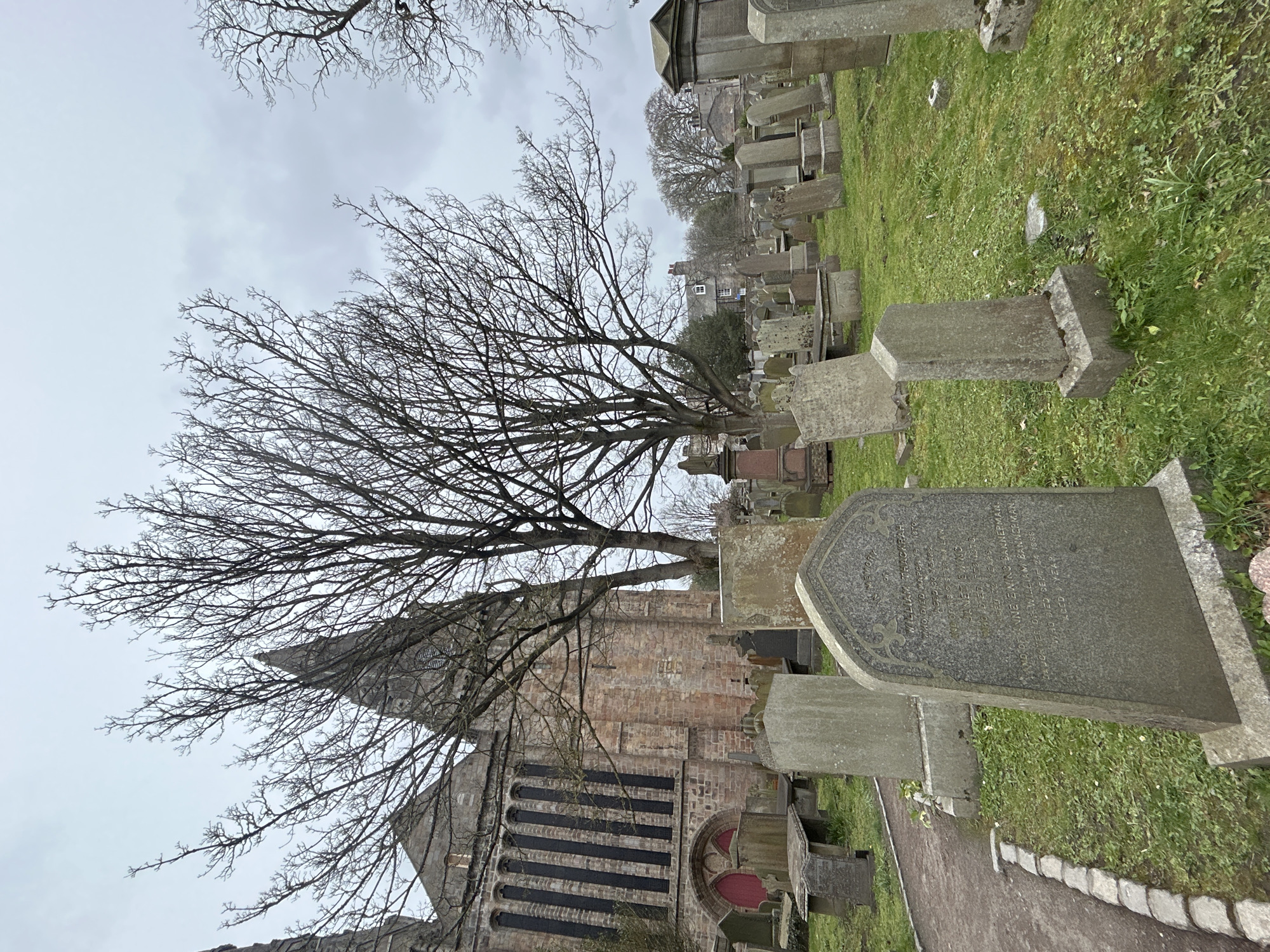 The image depicts a section of St Machar's Cathedral and its surrounding graveyard in Aberdeen City, United Kingdom, taken on an overcast day. The foreground is dominated by numerous gravestones of varying sizes and shapes, scattered across a grassy area. A leafless tree with bare branches stands between the viewer and the cathedral. The cathedral is constructed of stone, featuring a tower and several windows. A footpath runs alongside the graveyard. The overall scene is one of a historic, somber burial ground adjacent to an old cathedral.