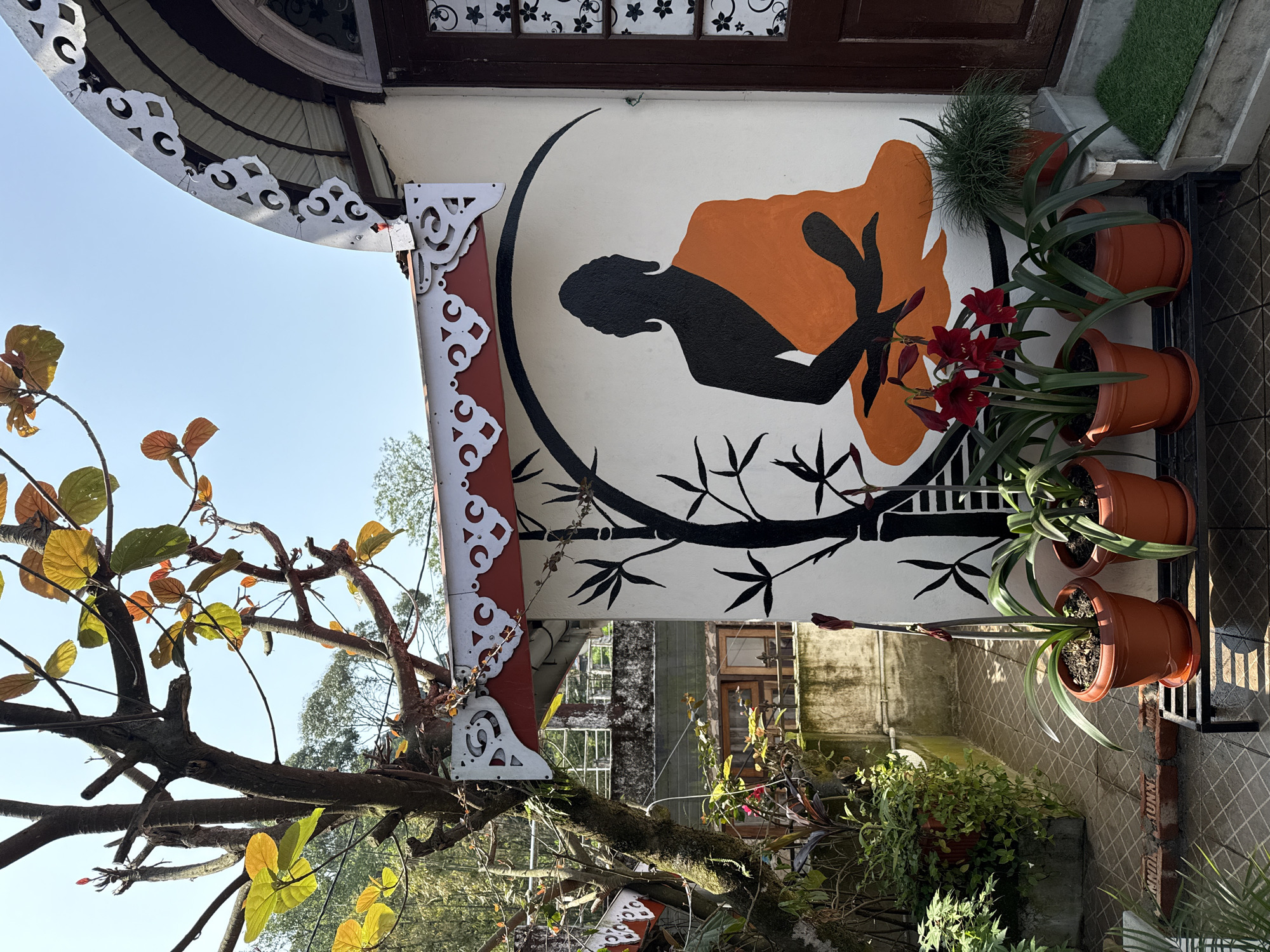 This outdoor scene captures a vibrant and serene corner of a building in Kurseong, India, under bright daylight.
The central focus is a large mural painted on a white wall. It depicts a black silhouette of a person, likely a woman, in a meditative or restful pose, enveloped by an arching orange shape resembling a draped robe or energy field. The figure is set against a large, black crescent moon or circular outline, with black bamboo stalks and leaves painted below.
To the left, a mature tree with rough bark and sparse, broad leaves in shades of light green, yellow, and red-orange extends into the foreground, obscuring part of a decorative white metal fretwork attached to a red structural beam. More of this intricate white metalwork, featuring repeating curved and geometric patterns, is visible above the tree and along the vertical red beam. Above the mural, a dark brown wooden window or door frame features panes with white floral patterns on translucent or etched glass.
To the right of the mural, several potted plants are arranged vertically on a black metal stand. The most prominent pot holds red amaryllis flowers in bloom, while others contain various green foliage, including one with spiky, grass-like leaves. At the very bottom right, a section of tiled pavement with a diamond pattern is visible, bathed in sunlight. In the background, glimpses of other buildings and lush greenery can be seen. On a brick-like structure near the tiled floor, a partially obscured, indistinct word like "...UNN..." might be faintly visible.
The overall impression is one of artistic decoration and natural beauty, creating a tranquil and inviting space. The clear blue sky indicates fair weather.