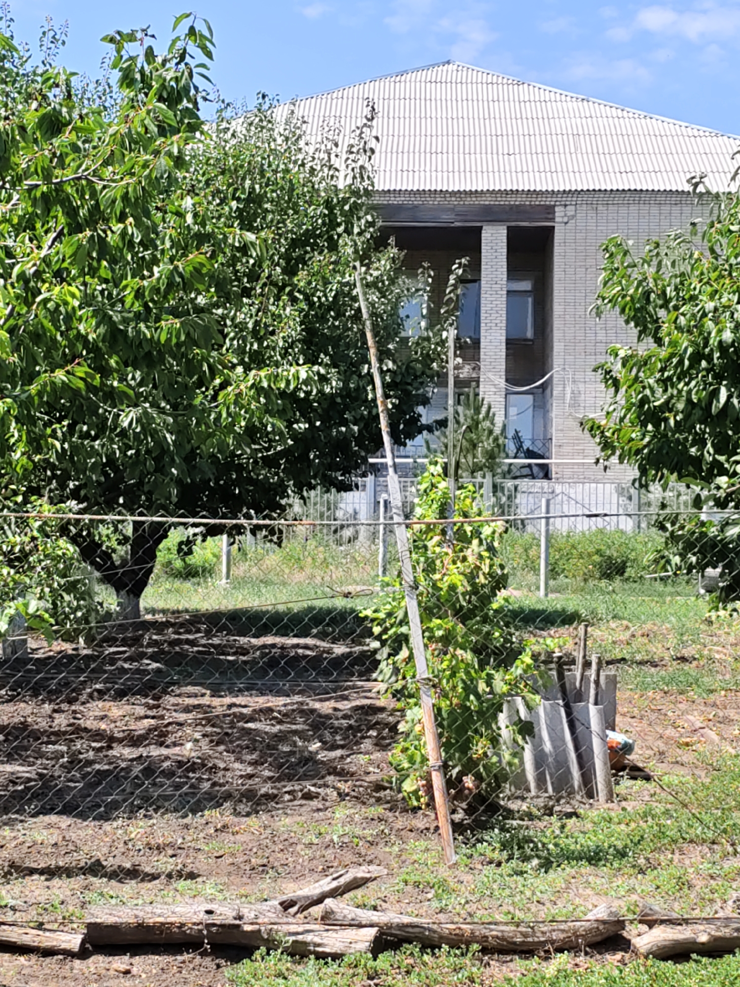 The image depicts a view of a backyard garden with a chain-link fence in the foreground. Beyond the fence, there are trees with green foliage and a building constructed of light-colored brick with a white, corrugated roof. The ground in the garden appears to be tilled soil with some grass and debris, including pieces of wood. A thin, vertical wooden stake is planted in the ground near the center of the image. The sky is clear and blue. The scene is consistent with a residential area in Nizhnedonskoy, Russia, during daylight hours. There are no people visible in the image.
