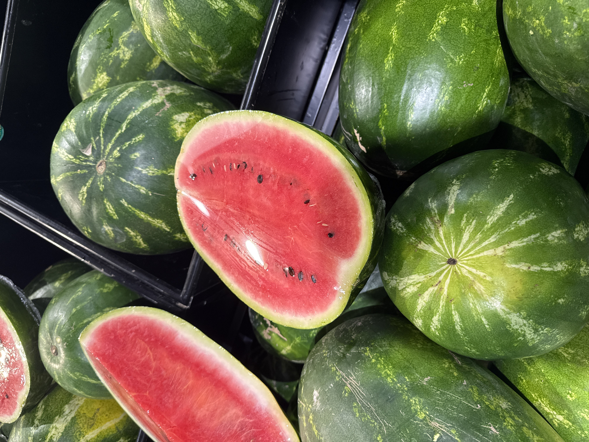 The image depicts a close-up view of an assortment of watermelons displayed in what appears to be a retail setting, such as a grocery store produce section or market. Approximately two dozen watermelons are visible, filling the frame. Most are whole, varying in size, and feature dark green rinds with lighter green and yellowish striped or mottled patterns. Two watermelons are cut: a large wedge in the upper left displays a vibrant red, nearly seedless interior with a thin white rind, while a prominent half-watermelon in the central-right reveals bright red flesh with scattered black seeds and a thicker white-to-light-green rind. The watermelons are contained within black plastic bins or dividers, indicating an organized display. Some rinds show minor surface imperfections or scratches, and a few appear to have condensation or moisture. No individuals are present in the scene, and no specific actions are occurring. The precise location within the city of Puebla, Mexico, is not discernible from the provided visual information.