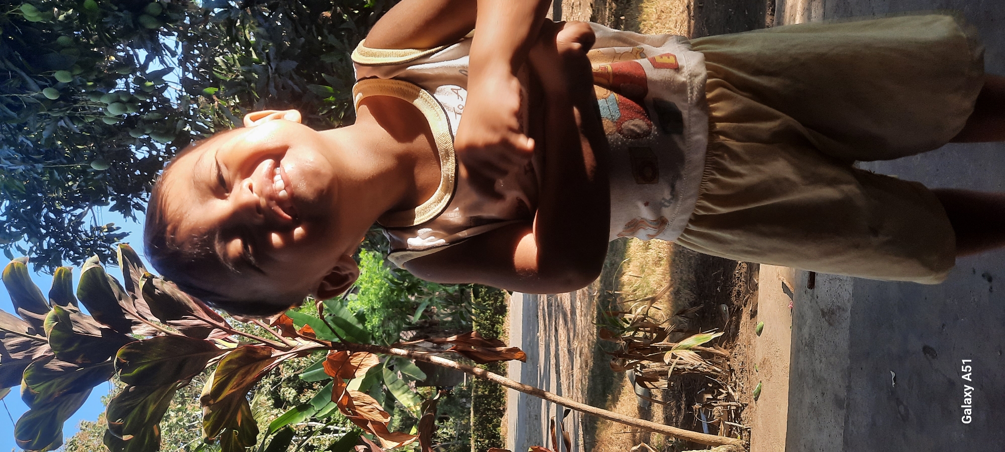In Ploso, Indonesia, a young child stands outdoors, their face illuminated by sunlight. The child is wearing a sleeveless shirt with a patterned design and light-colored shorts. Their arms are crossed, and they are smiling broadly, tilting their head back slightly. Behind the child, a large plant with broad, dark leaves stands to the left, while a tree laden with green mangoes is visible to the right. The ground is a mixture of dirt and paving, with some dried leaves scattered about. The background shows more foliage and a hint of a fence line, suggesting a residential or garden setting. The overall impression is of a candid, joyful moment captured in a tropical environment.