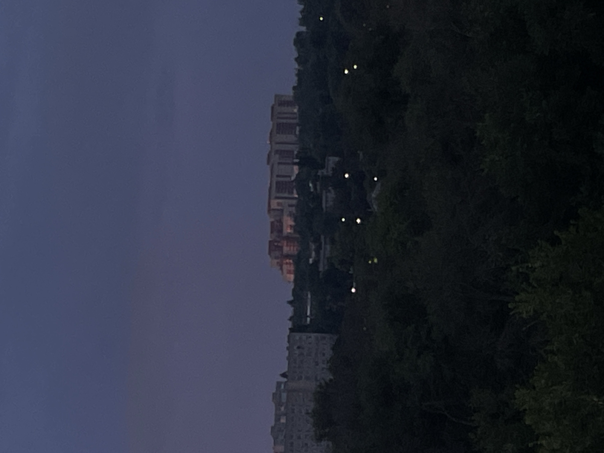 The image shows a twilight view of a city, likely Novocherkassk, Russia, with a dark, tree-covered foreground and a cityscape in the background. In the distance, a large building complex with illuminated windows is visible on a hill. The sky is a deep purple-blue, characteristic of dusk. Several small, bright lights are scattered throughout the middle ground, possibly streetlights or distant building lights. The overall impression is one of a quiet, developing urban area at the edge of a natural landscape during the transition from day to night.