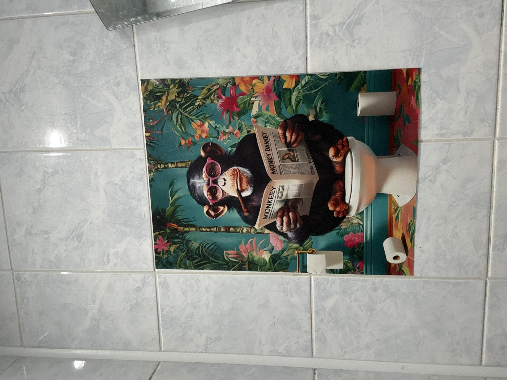 The image shows a bathroom wall tiled with light gray, marbled tiles. A decorative image is mounted on the tiles, depicting a monkey wearing pink sunglasses and reading a newspaper on a toilet. The newspaper is titled "MONKEY DANKEY". The background of the image is a colorful tropical scene with plants and flowers. Two rolls of toilet paper are also visible in the image, one on a holder and the other loose near the toilet. The location is Stara Zagora, Bulgaria.