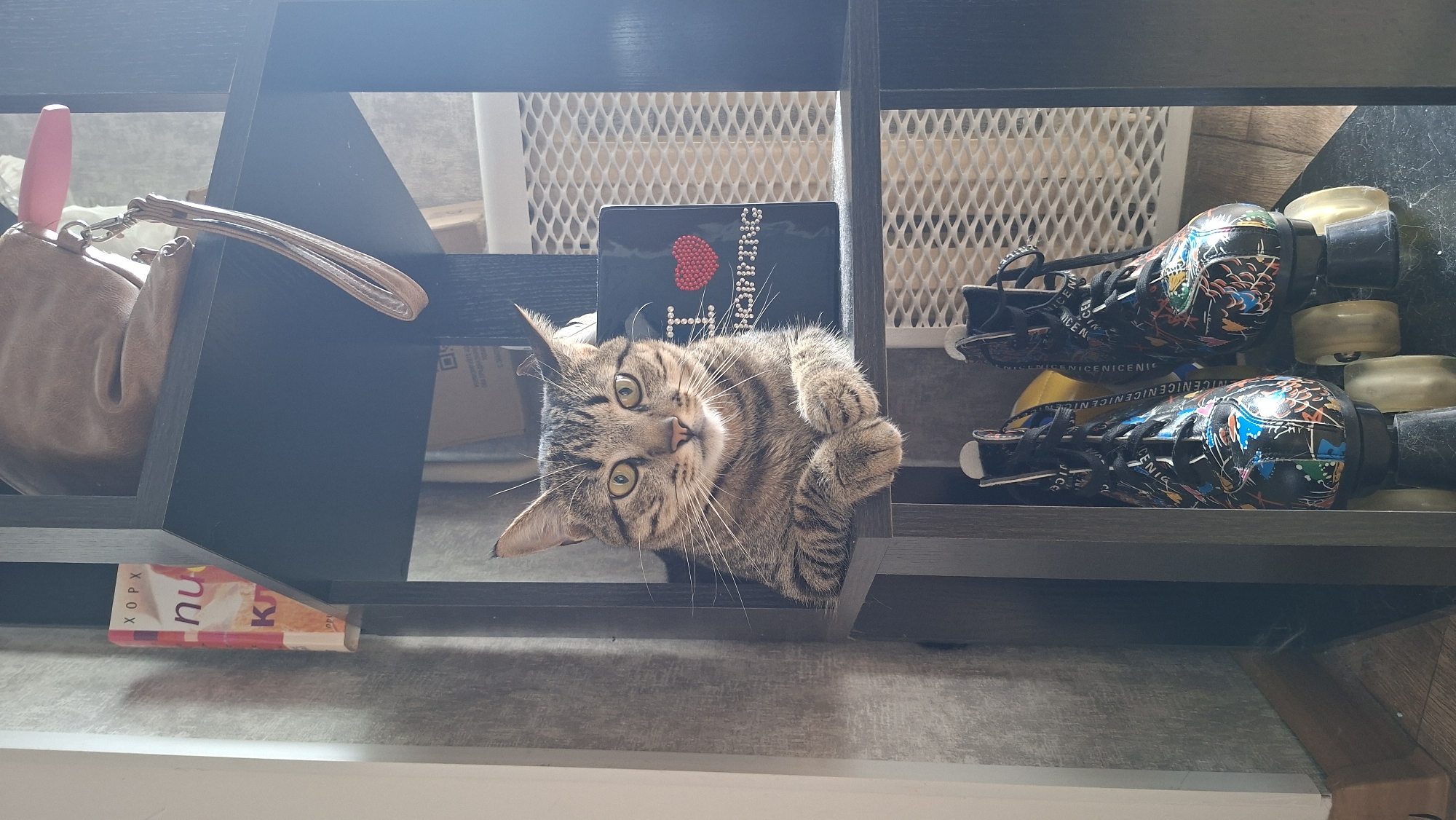 A tabby cat sits on a black shelf in front of a white textured wall. The cat is facing forward, with its paws resting on the shelf. Behind the cat, there is a black square object with "I ❤️ SHOPPING" written on it in rhinestones. To the left of the cat, a book with a red and yellow cover is visible. Below the shelf where the cat is sitting, there are a pair of roller skates with colorful patterns. The roller skates have black laces and yellow wheels. In the background, a light brown bag with a pink object hanging from it is placed on a higher shelf. The overall scene suggests a domestic environment, likely a home. The location is identified as Myadzyel, Belarus.