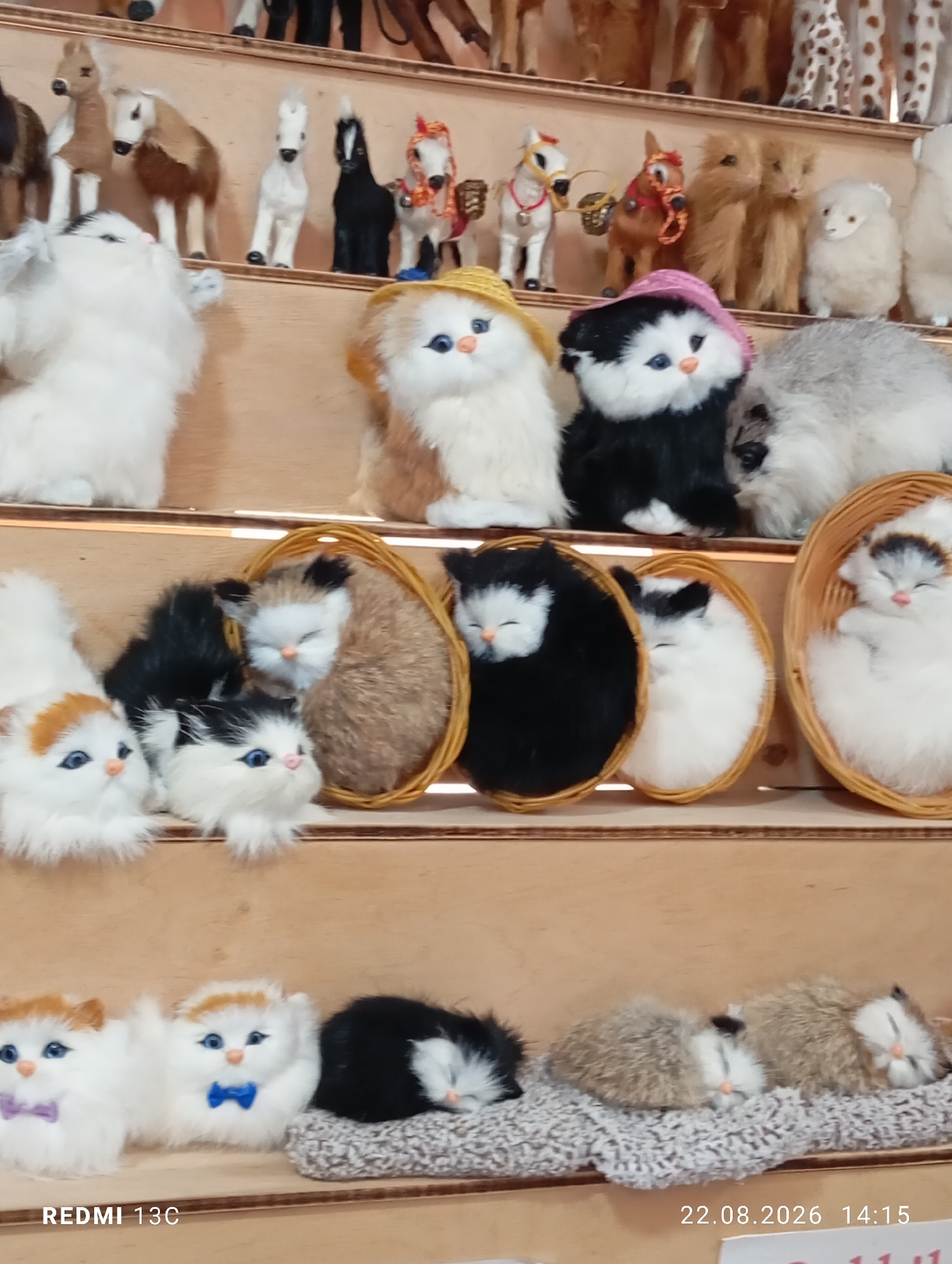 The image shows a collection of handmade stuffed animal toys, primarily cats and horses, displayed on wooden shelves. On the top shelf, several miniature horses are visible, some white, black, and brown, with some featuring decorative elements like bells and ribbons. Below them, on the second shelf, more stuffed animals are arranged. These include a white fluffy cat with a straw hat, a black and white cat wearing a pink hat, and a light gray fluffy animal. Further down, on the third shelf, several small stuffed cats are nestled in woven baskets. These cats exhibit various color patterns, including black, white, and brown. The bottom shelf features a row of three small stuffed cats, two white with blue eyes and bow ties, and a black and white one sleeping on a textured mat. To the right, two more small, fluffy stuffed animals, possibly cats or small mammals, are also resting on a similar mat. The overall environment appears to be a marketplace or a shop, suggested by the arrangement of goods on display. The lighting is consistent with indoor retail lighting. The date stamp "22.08.2026 14:15" is present in the lower right corner, and "REDMI 13C" is in the lower left, indicating the device used for capture. There are no people visible in the image.