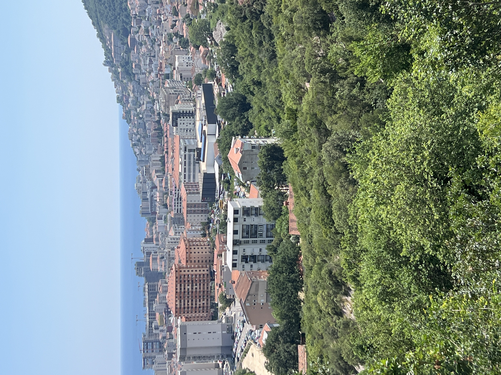 This is a wide, high-angle aerial shot of Budva, Montenegro, on a clear, sunny day. The scene captures a dense urban environment with a vast expanse of the Adriatic Sea in the distance. The foreground is dominated by lush green trees and foliage, suggesting a natural landscape or park area.
Behind the greenery, a cluster of buildings rises, showcasing a mix of architectural styles. Some buildings are modern, with sleek, light-colored facades and multiple stories, while others feature traditional terracotta-tiled roofs and warmer, beige-colored walls. Among the taller structures, one stands out with its distinct, multi-layered facade, while a larger, more imposing building with a cream-colored exterior dominates another section of the mid-ground. Numerous smaller residential buildings are interspersed throughout the landscape, forming a dense cityscape. In the far distance, the city extends up the hillside, with buildings cascading down towards the sea, and a prominent hill covered in vegetation. The horizon is marked by the clear blue of the sky meeting the equally blue sea, with a few cranes visible near the coast, indicating ongoing construction. The scene appears to be a typical Mediterranean coastal city, with a blend of dense urban development and natural beauty.