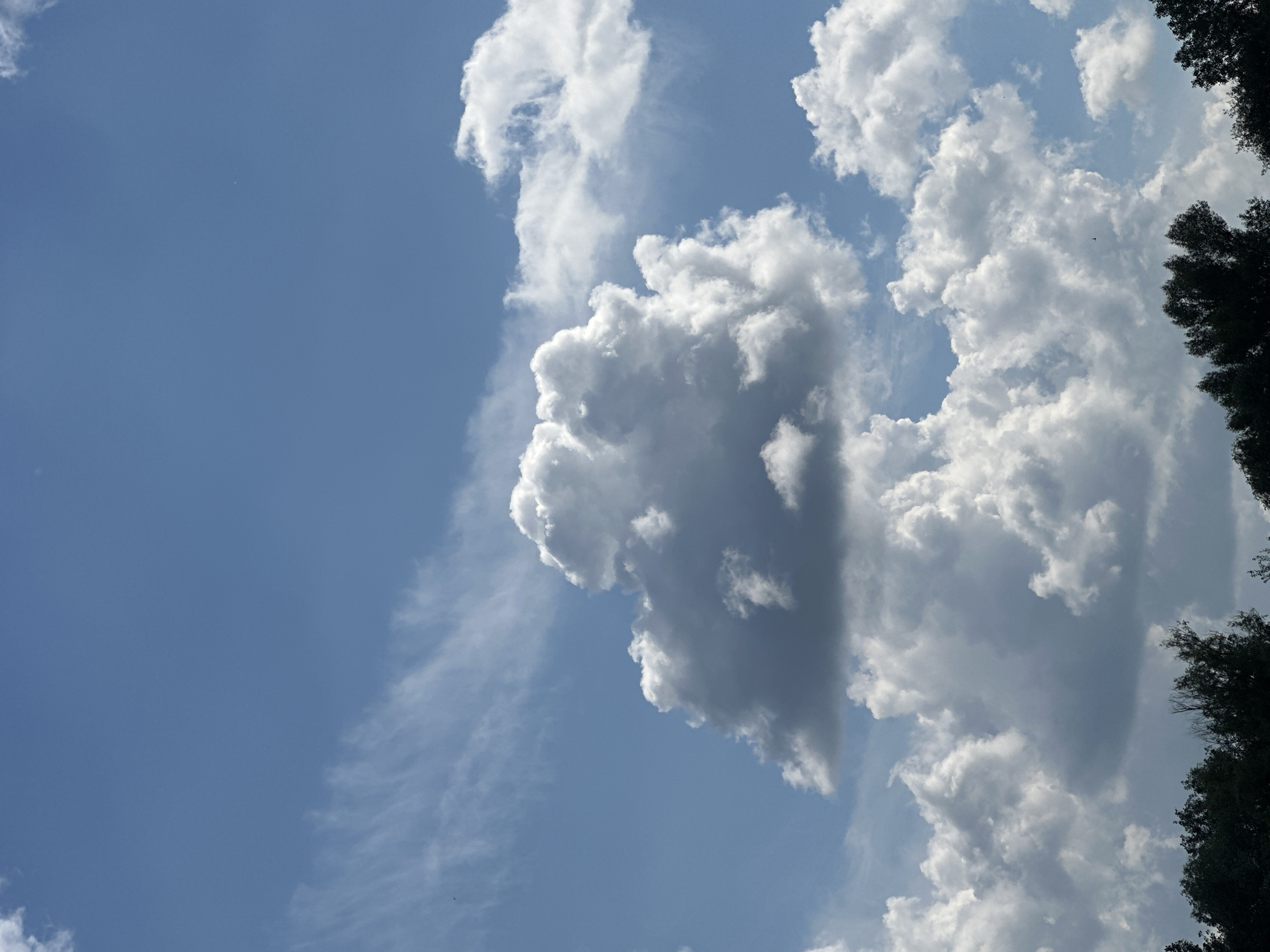 This is a close-up, eye-level shot of a bright blue sky filled with dramatic, puffy white clouds. The clouds vary in size and density, with some appearing wispy and others thick and shadowed. The light suggests it's daytime, likely mid-morning or afternoon, given the bright illumination. The composition is dominated by the sky and clouds, with the top right corner showing the dark, silhouetted tops of trees, suggesting the photo was taken from ground level looking upwards. The image appears to have been taken in Horishni Plavni, Ukraine. There are no people or discernible objects in the sky, only natural elements. The weather appears to be fair, with a mix of sunshine and clouds creating interesting light and shadow play. No text is visible in the image.