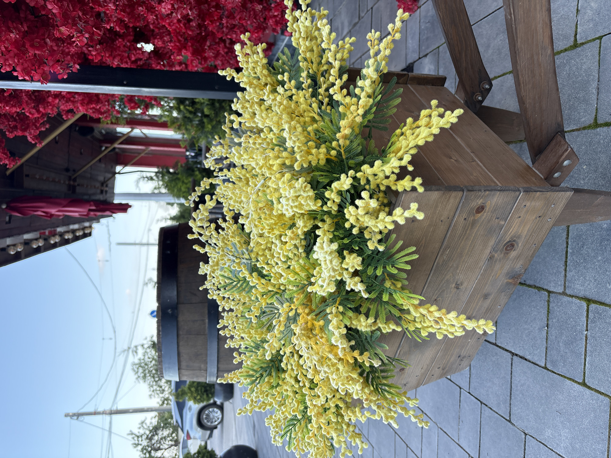 This image depicts an outdoor decorative arrangement in Kiparisnoe, Ukraine. In the foreground, a dark brown wooden planter, designed to resemble a stylized wheelbarrow, is filled with numerous artificial yellow flowers characterized by small, spherical clusters and slender green foliage, closely resembling mimosa. These flowers cascade over the planter's edges. The planter rests on a paved surface composed of light gray square concrete blocks, with visible moss growing in the crevices.
In the midground, to the left of the planter, a large dark brown wooden barrel with black metal bands is partially visible. Further left and behind the barrel, a silver Lexus RX SUV is parked, with its rear wheel and side profile discernible. Two conical green potted plants are situated near the barrel and the vehicle. A tall utility pole with multiple overhead wires stands in the far left background against a clear, light blue sky. Trees with green foliage are also visible on the horizon.
To the right of the planter, a substantial amount of vibrant red artificial flowers or foliage densely covers a vertical structure, creating a wall of color. Behind this red display, elements of a building facade are visible, including a dark overhang with recessed lights and red fabric awnings or decorations. The overall scene suggests an exterior decorative setting, possibly for a commercial establishment like a cafe or restaurant. No people are present in the image. The lighting indicates daytime conditions.