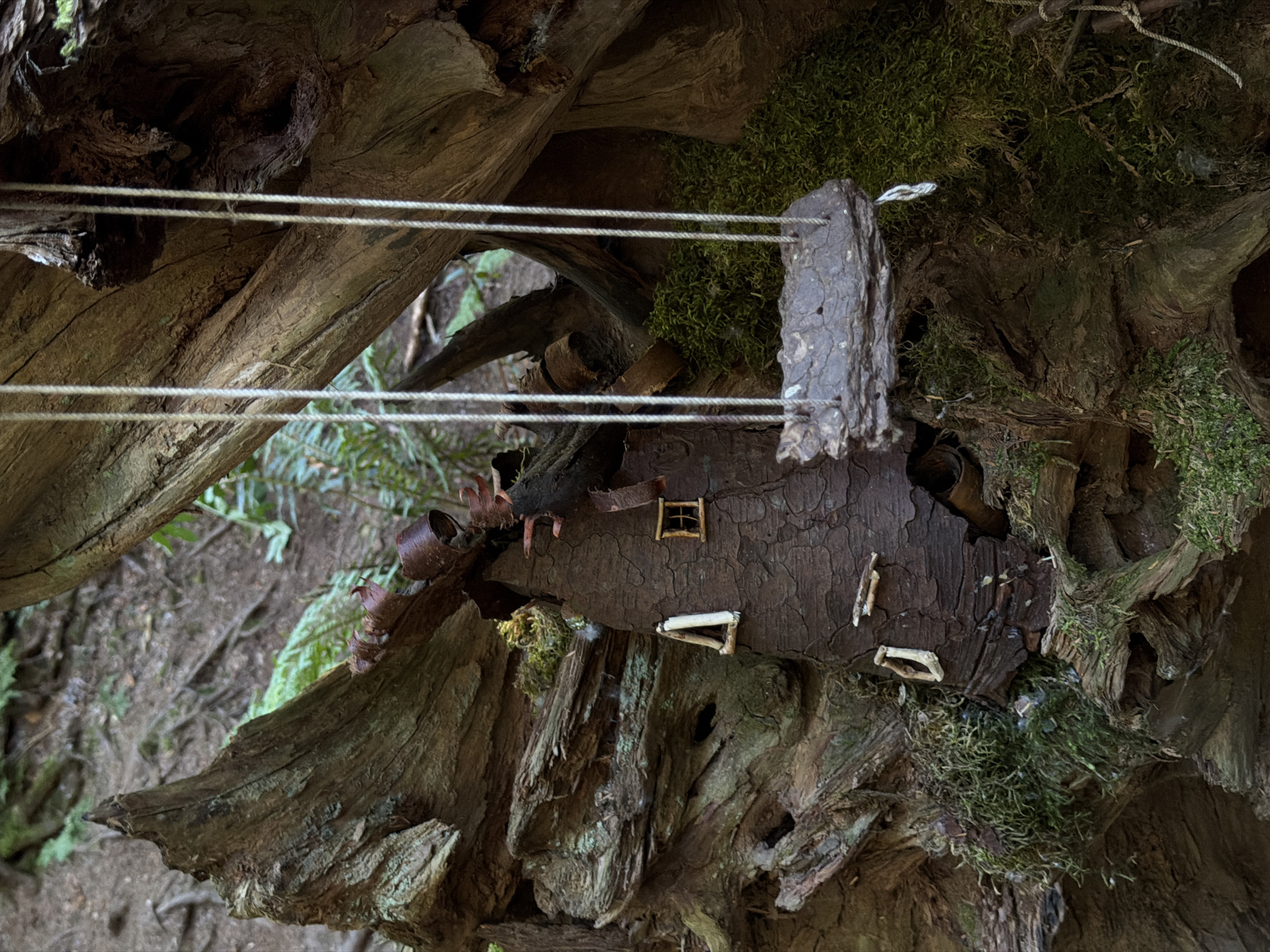 This is a close-up, eye-level, outdoor photograph of a miniature fairy house and swing constructed from natural materials within a forest setting, possibly in Burnaby, Canada. The house is built into the rough bark of a fallen log, appearing to be made from a hollowed-out tree trunk or root. It has two small triangular white window frames and one square window frame with a criss-cross pattern, all made from small twigs. There are also two small white door-like structures on the side of the house.
A swing, made from a piece of bark and suspended by four white ropes, hangs to the right of the house. The swing is positioned over a dense patch of vibrant green moss. The background is a blurred forest floor with visible tree roots, dirt, and green foliage. The overall scene is one of whimsical, nature-based art integrated into the forest environment.