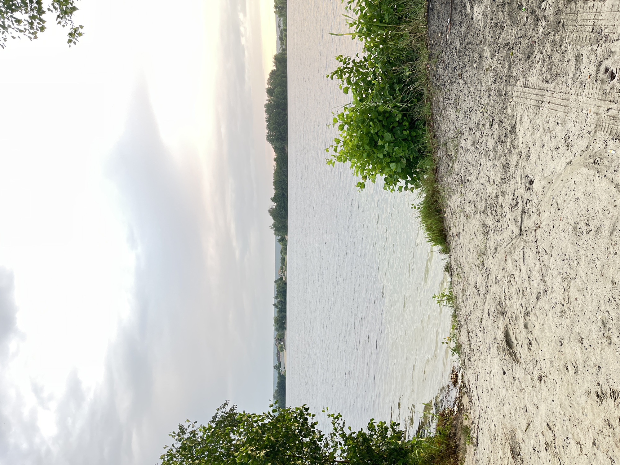 The image depicts a serene lakefront scene in Bezliudivka, Ukraine. The foreground is a sandy embankment with tire tracks visible on the right side. Lush green bushes and tall grass line the edge of the water. The lake itself is calm and reflects the overcast sky, with a distant tree-lined shore featuring a few houses. A large tree with green foliage is prominently positioned on the left side of the frame, partially obscuring the view of the lake. The sky is filled with soft, diffused light from clouds.