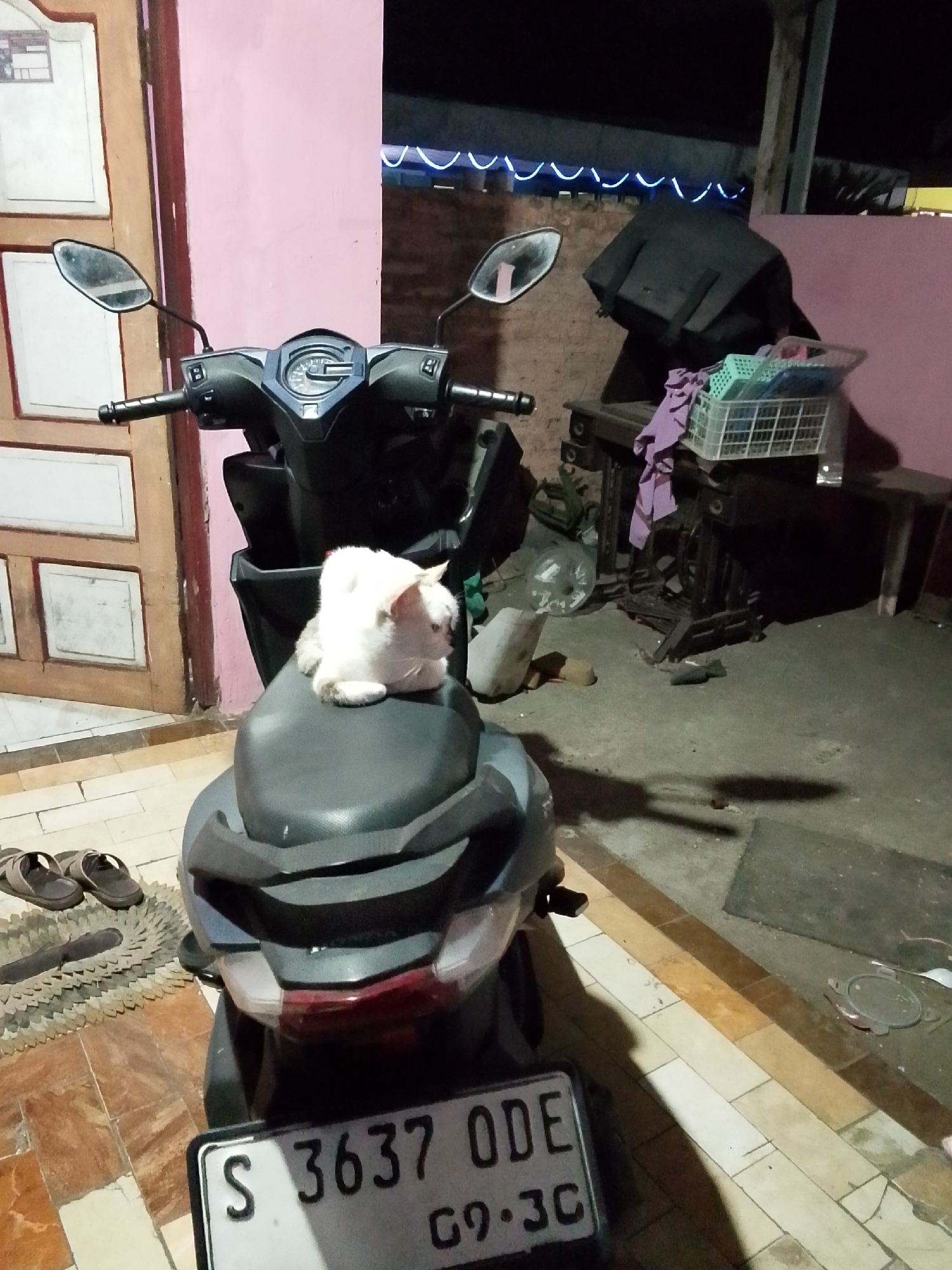 A white cat is resting on the seat of a black motorcycle parked in front of a building with a pink wall and a wooden door in Bulurejo, Indonesia. The motorcycle has a license plate that reads "S 3637 ODE 09-30". The scene appears to be an outdoor area, possibly a yard or driveway, with concrete flooring. In the background, there is a table with a sewing machine and some baskets. The lighting suggests it is nighttime.