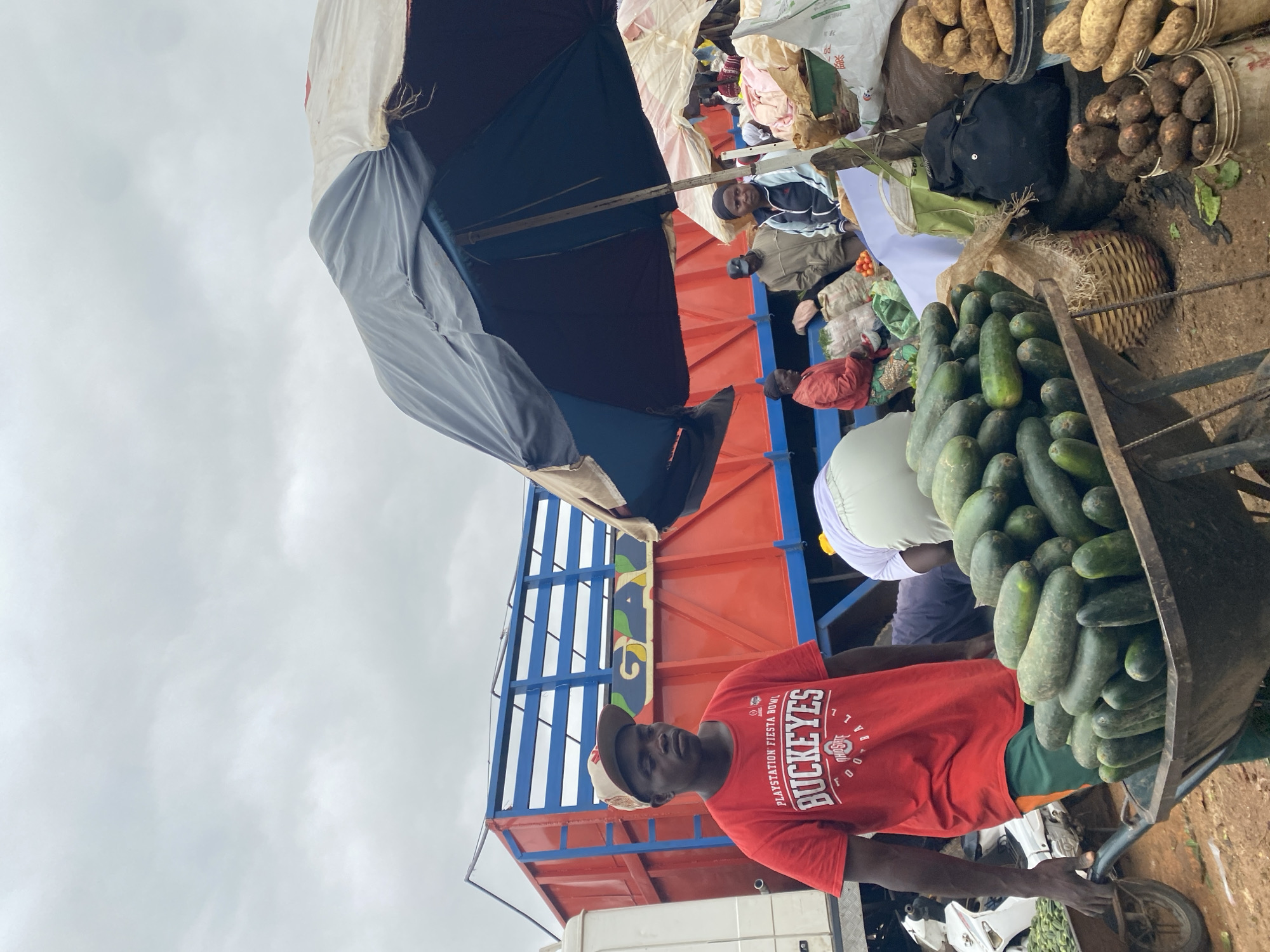 In Katon Rikkos, Nigeria, a bustling open-air market is captured under an overcast sky. A man in a red t-shirt bearing the "Buckeyes" logo pushes a wheelbarrow overflowing with cucumbers. Behind him, a large red truck with blue accents is parked. Several individuals are visible at market stalls further in the background, some tending to produce and others interacting. A large umbrella provides shade over a section of the market where various vegetables and root crops, including potatoes and what appear to be yams, are displayed in buckets and sacks. The ground is dirt, indicating an unpaved market area.