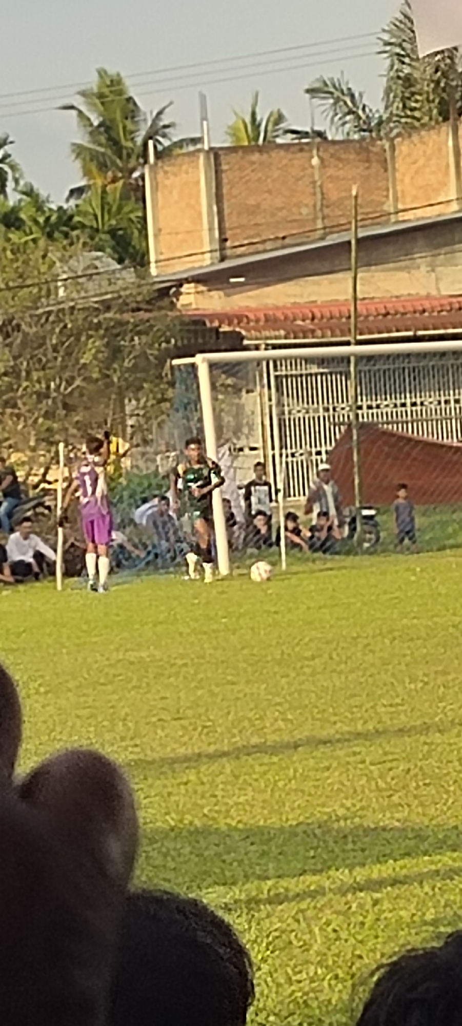 The image depicts a soccer game taking place on a grassy field. In the foreground, a blurry view of spectators' heads is visible. The midground shows several individuals on the field, including a player in a purple and white uniform with the number 7 on his jersey. Another player in a dark green and black uniform is running towards the goal. A soccer ball is visible on the field near the goal. In the background, a goalpost with netting is present, along with spectators watching from the sidelines. Behind the field, there are trees and buildings, including a building with a red tiled roof. The scene suggests a casual soccer match in an outdoor setting, possibly in a local park or field within Keudesimpangempat, Indonesia, given the presence of palm trees and the general environment.