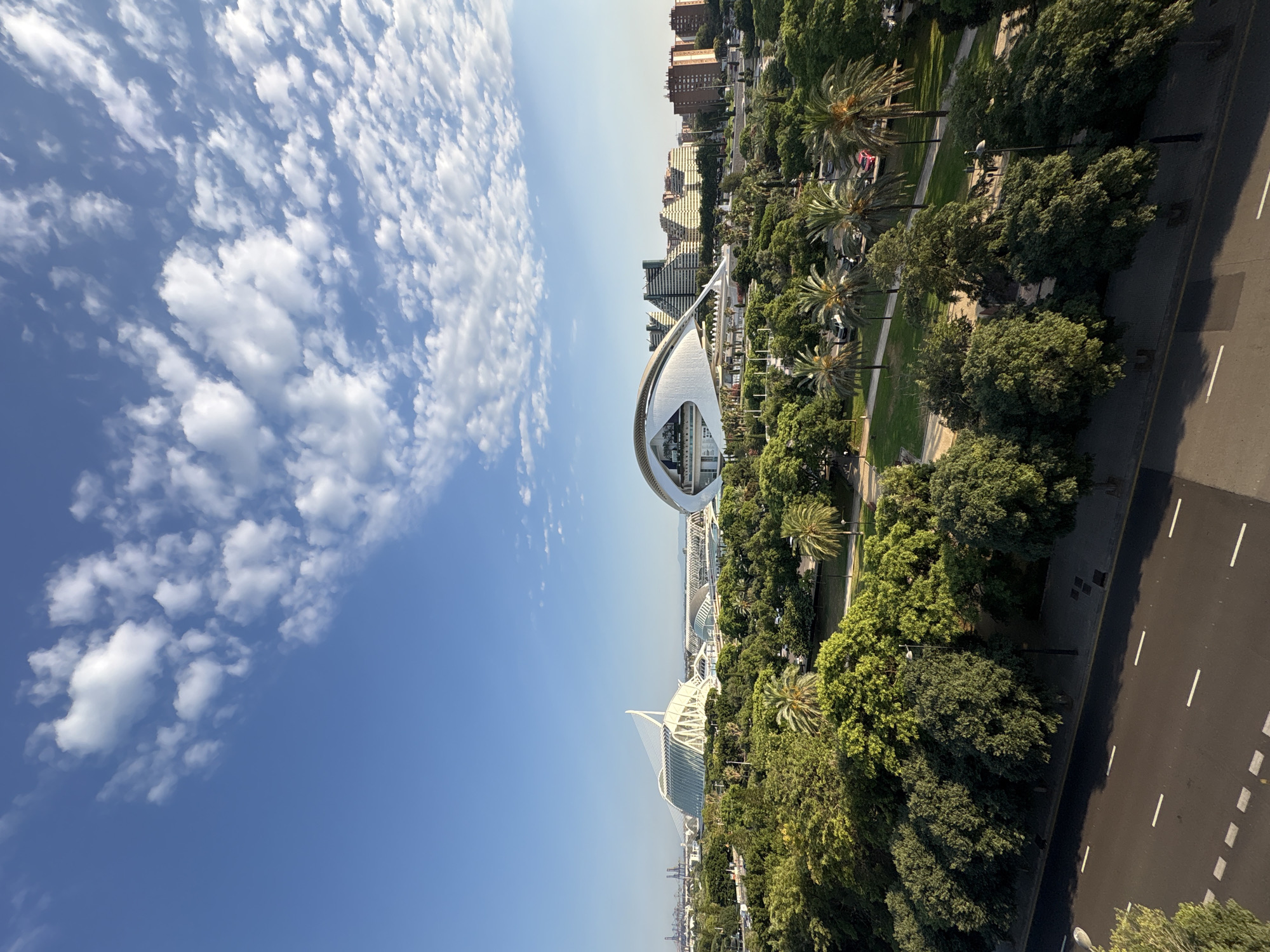 This is an eye-level, medium-wide shot of the City of Arts and Sciences complex in Valencia, Spain, on a clear day with scattered clouds. In the foreground, a road with white lane markings runs diagonally from the bottom left to the bottom center. Adjacent to the road is a sidewalk with a few streetlights. Beyond the sidewalk, a dense expanse of green trees forms a park, with some palm trees interspersed among them. In the midground and background, the distinct white, futuristic structures of the City of Arts and Sciences are visible, including the Hemisfèric with its eye-shaped design and the Palau de les Arts Reina Sofía. Further in the background, there are more modern buildings and a hint of a port with cranes on the horizon. The sky above is a clear blue with wispy white clouds. No people are visible in the image.