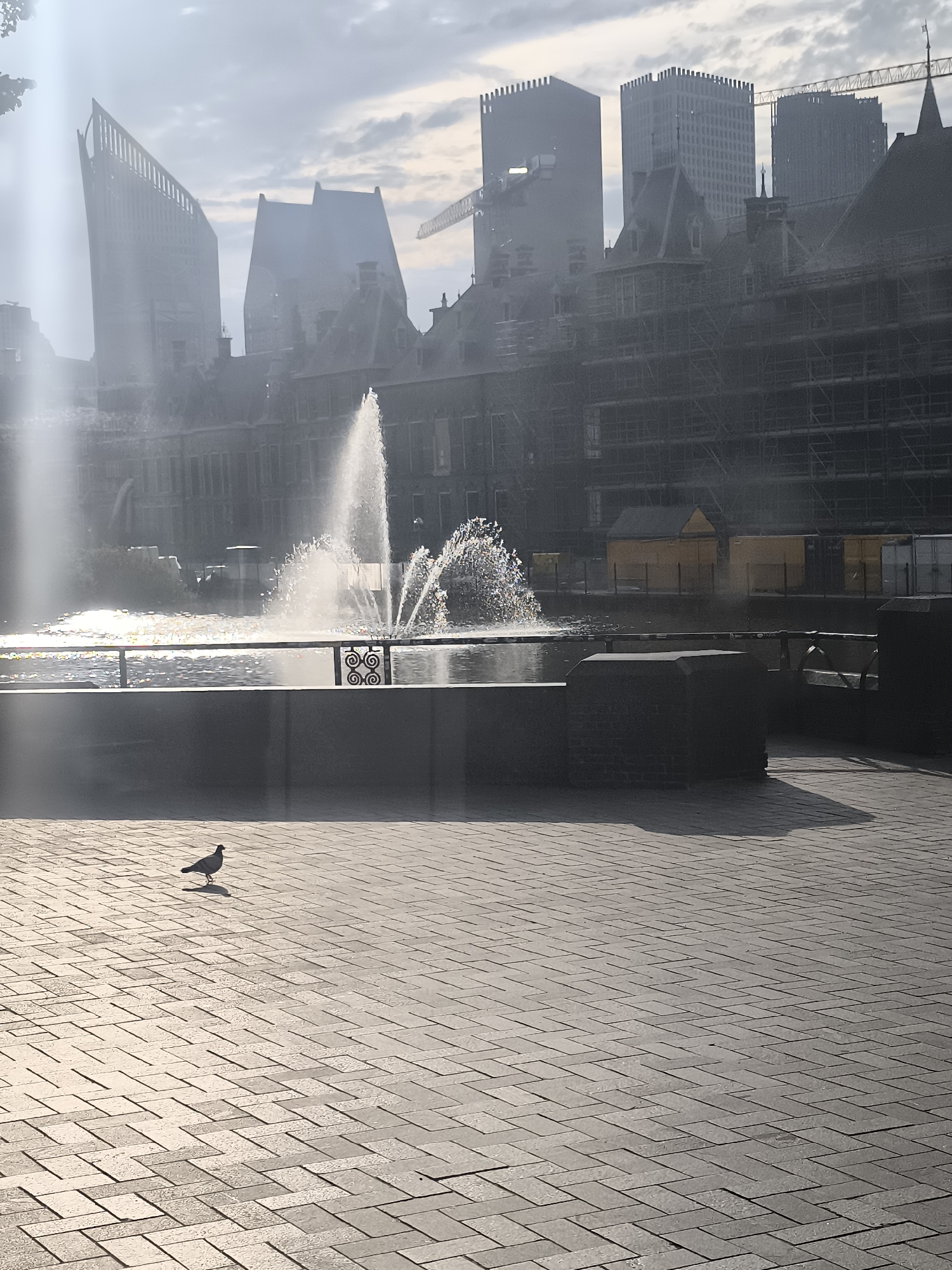 The image captures a view of the Binnenhof complex in The Hague, Netherlands, a historic site housing the Dutch parliament and government buildings. In the foreground, a pigeon stands on a paved area, casting a shadow. A water fountain sprays water into a canal in the middle ground. Behind the canal, the Binnenhof buildings are visible, some with scaffolding indicating ongoing renovation or construction. Several modern high-rise buildings, characteristic of the city's skyline, are visible in the background, partially obscured by mist or haze. The sky is overcast with patches of sunlight breaking through. The scene appears to be a public outdoor space in an urban setting.