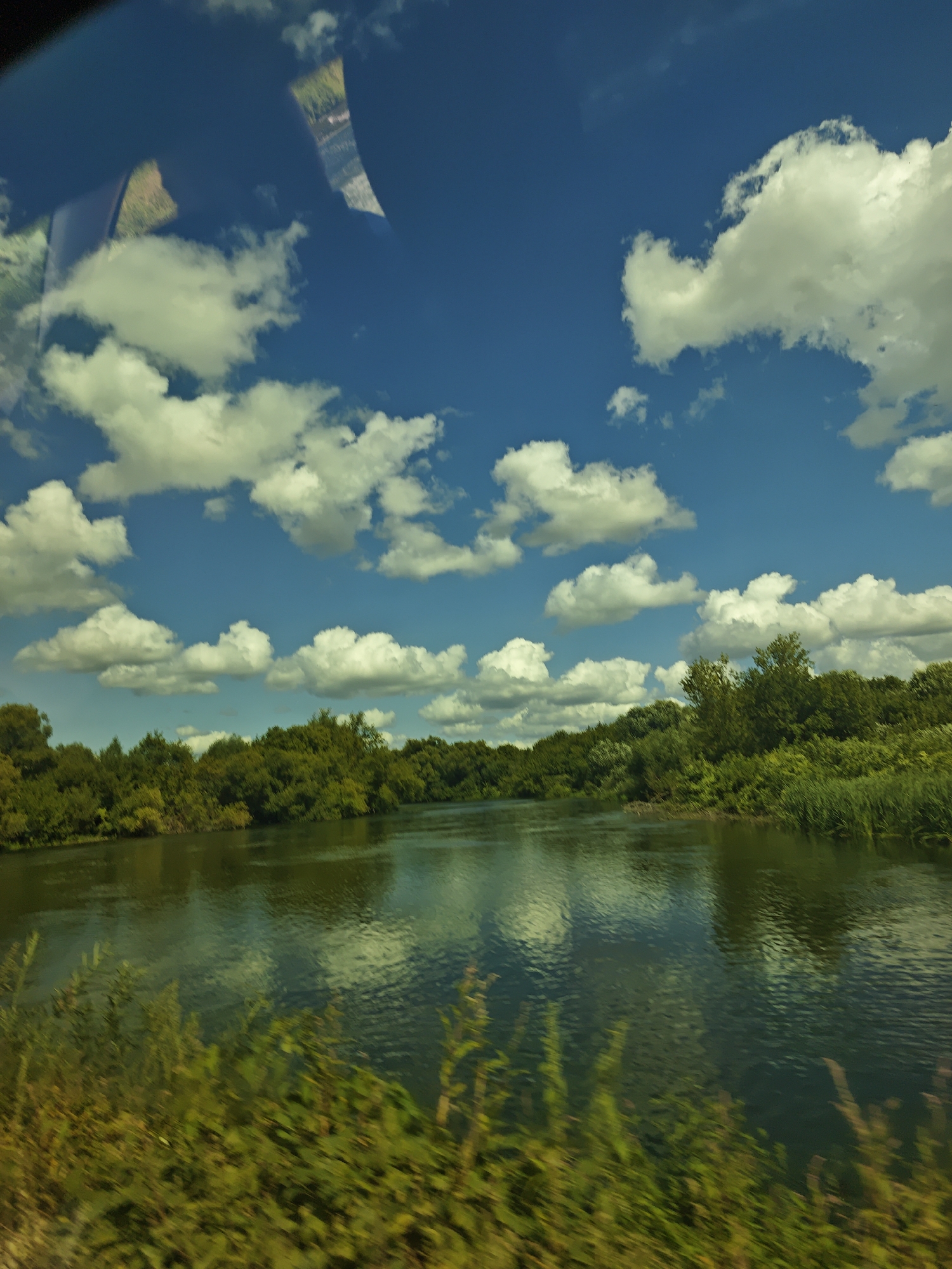 A wide, calm river flows through a lush, green landscape under a bright blue sky filled with fluffy white clouds. The water's surface reflects the sky and the surrounding vegetation. Dense trees and foliage line the riverbanks, creating a verdant backdrop. In the foreground, tall grasses and plants blur due to motion, suggesting the image was captured from a moving vehicle or boat. The scene depicts a tranquil natural environment, likely a park or rural area, with no human presence visible.