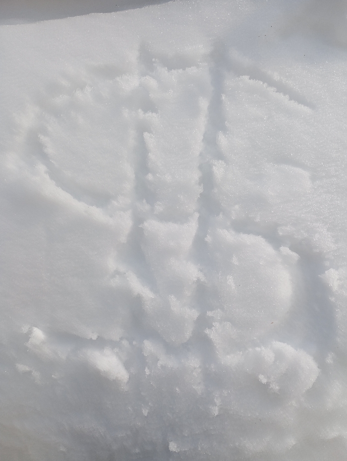 A forensic overhead view displays a patch of white, granular snow in the city of Yaromaska, Russia. Distinct impressions are present in the snow, forming what appears to be the capital letters "UBS". The "U" is on the left, followed by a stylized "B" with two vertical elements and a connecting top bar, and a clear "S" shape on the right. The indentations are sharp, contrasting with the untouched snow. The scene is illuminated by natural light, highlighting the snow's crystalline texture. No individuals or other objects are visible.