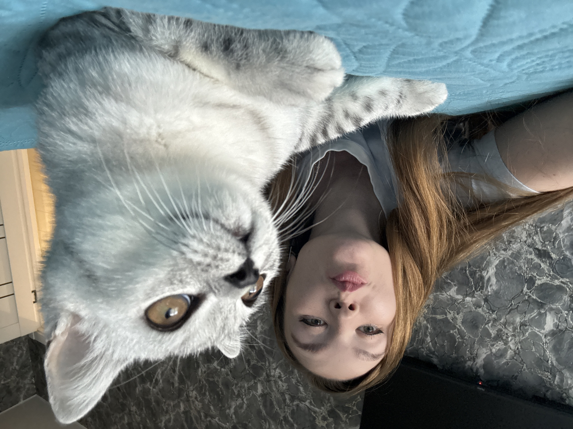 A young woman with long auburn hair and pale skin is taking a selfie with her cat. The woman is puckering her lips and looking at the camera. The cat is a silver-colored short-haired breed, possibly a British Shorthair, with large, golden eyes and striped markings on its legs. The cat is lying down on a bright blue, textured surface, which appears to be a bed or sofa. The background consists of a textured gray wall and a dark object that could be a television screen. The lighting is soft and natural. The image was likely taken indoors, in a residential setting in Izhevsk, Russia.