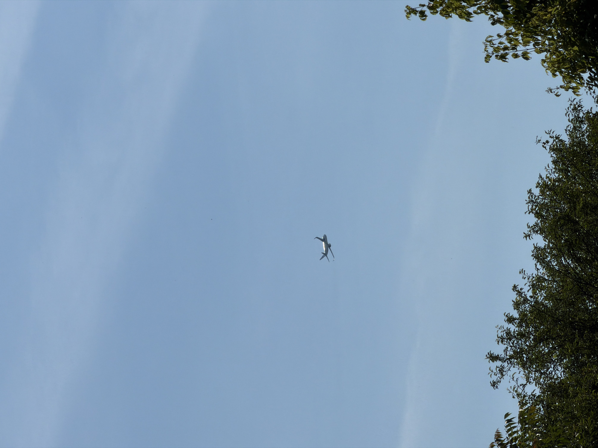 An airplane is flying in a clear blue sky, with only a few wispy clouds visible. The plane appears to be a commercial jet with its wings extended. Below the plane, the tops of several green trees are visible, suggesting the photo was taken from ground level looking upwards. The trees are lush and full of leaves, indicating it is likely summer or late spring. There are no people or other discernible objects in the scene besides the airplane and the trees. The location in Burgas, Bulgaria, cannot be determined from the visual information provided.