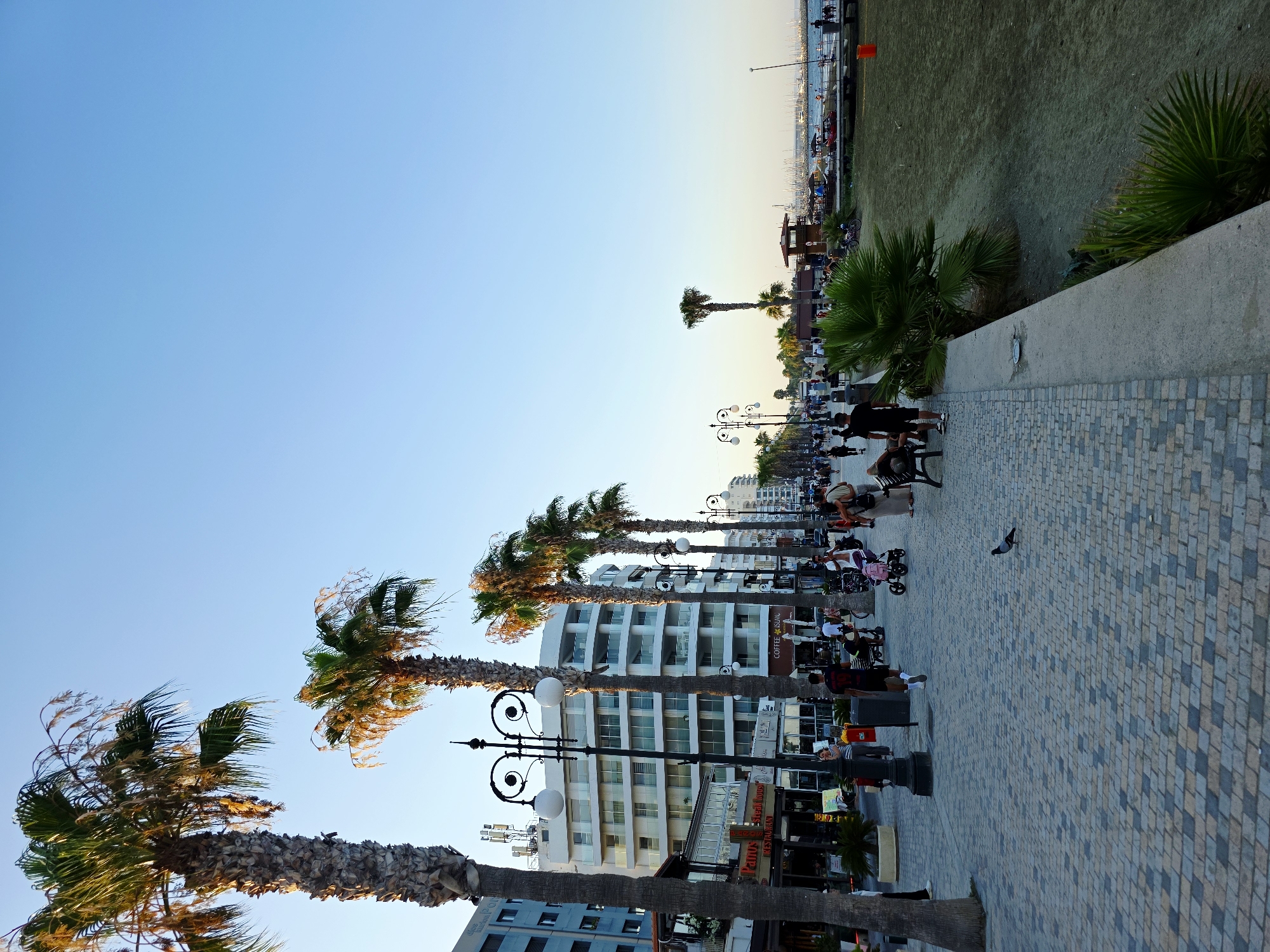 This image depicts a view of Finikoudes Promenade in Larnaca, Cyprus. The promenade is a bustling seaside walkway lined with tall palm trees and low-rise buildings housing shops and restaurants. The pavement is paved with light-colored cobblestones. Numerous people are strolling along the promenade, some are seated on benches, and others are pushing strollers. In the background, a beach area is visible, followed by the sea and a marina filled with sailboats. The sky is clear and blue, suggesting it is daytime. A pigeon is seen walking on the cobblestone path in the foreground.