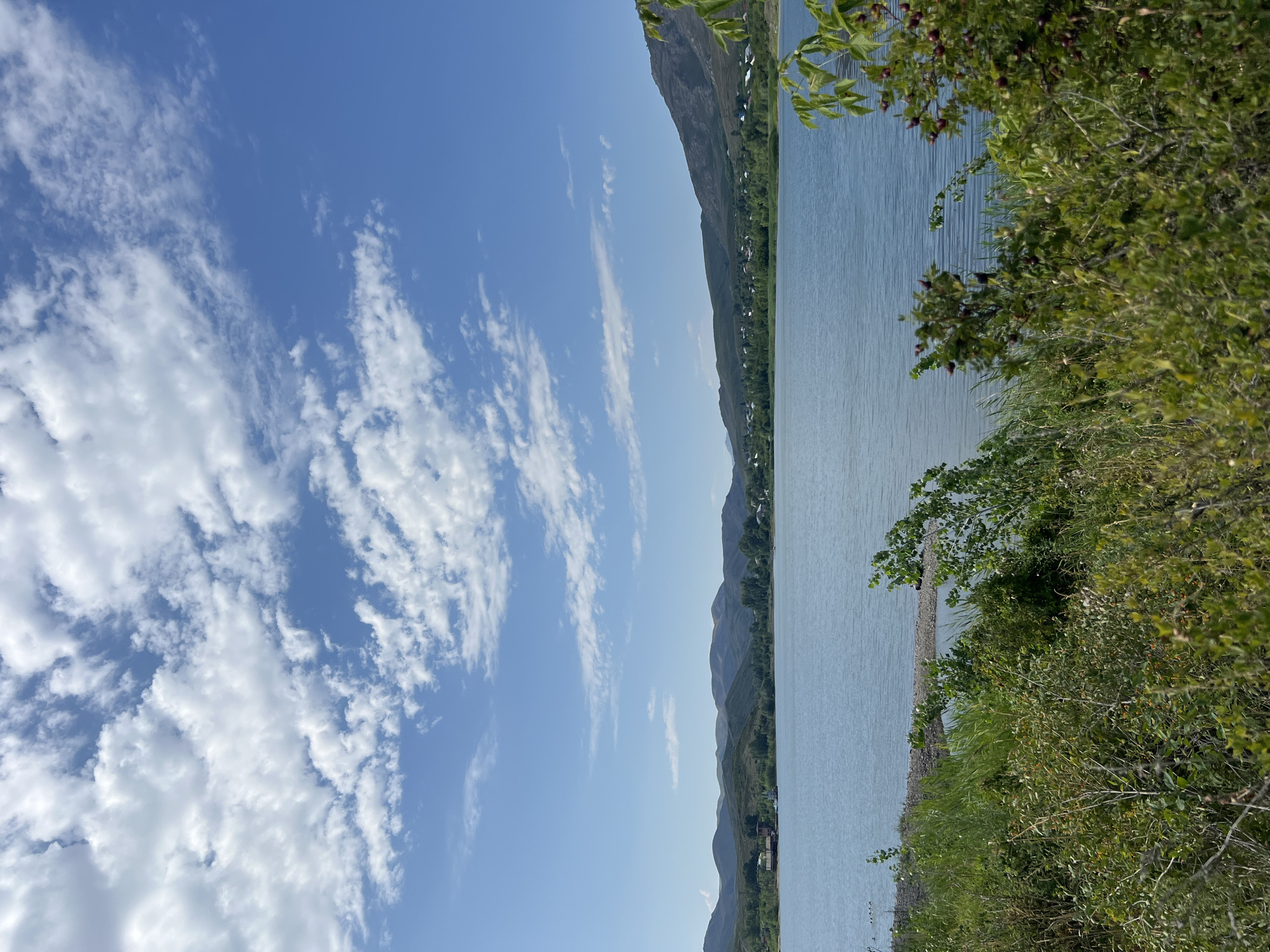 The image depicts a serene landscape, likely captured in or near Pribrejnii, Kazakhstan, showcasing a tranquil body of water reflecting the sky. The foreground is dominated by lush, green vegetation, with various shrubs and plants, some bearing red berries, creating a natural border. A thin strip of pebbled shoreline is visible where the vegetation meets the water.
The water itself is a calm, light blue, with subtle ripples disturbing its surface. Beyond the lake, a verdant landscape unfolds, characterized by rolling, tree-covered hills that recede into the distance. A small settlement, comprised of scattered houses and buildings with red roofs, is nestled among the trees along the shoreline. Further in the background, more distant mountains form a majestic backdrop.
The sky above is a vibrant blue, punctuated by scattered, puffy white clouds. The sunlight appears to be bright, casting a soft illumination over the entire scene, suggesting a pleasant, possibly late morning or early afternoon, with clear weather. No people or animals are prominently featured in the scene. The overall impression is one of natural beauty and peacefulness.