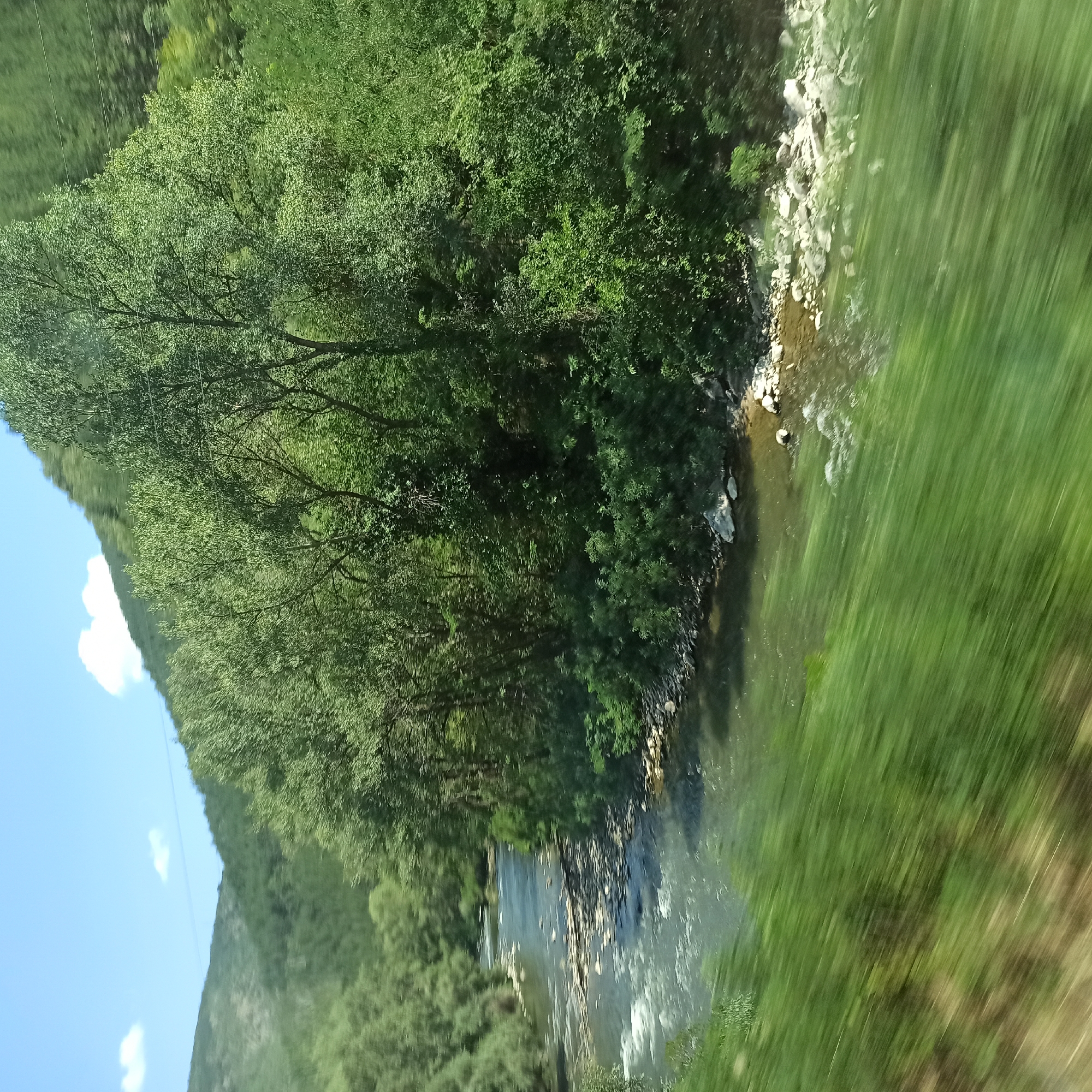 The image depicts a natural landscape in the vicinity of Stara Kresna, Bulgaria, characterized by a meandering river flowing through a valley. The river, with its rocky banks and clear, rippling water, occupies the central and lower portions of the frame. Lush green trees and dense foliage line the riverbanks and extend up the surrounding hillsides. The sky above is a clear blue with a few wispy white clouds. The motion blur in the foreground suggests the photograph was taken from a moving vehicle, possibly along a road or railway line adjacent to the river. The overall scene conveys a sense of natural beauty and tranquility, with the vibrant greenery contrasting with the flowing water.