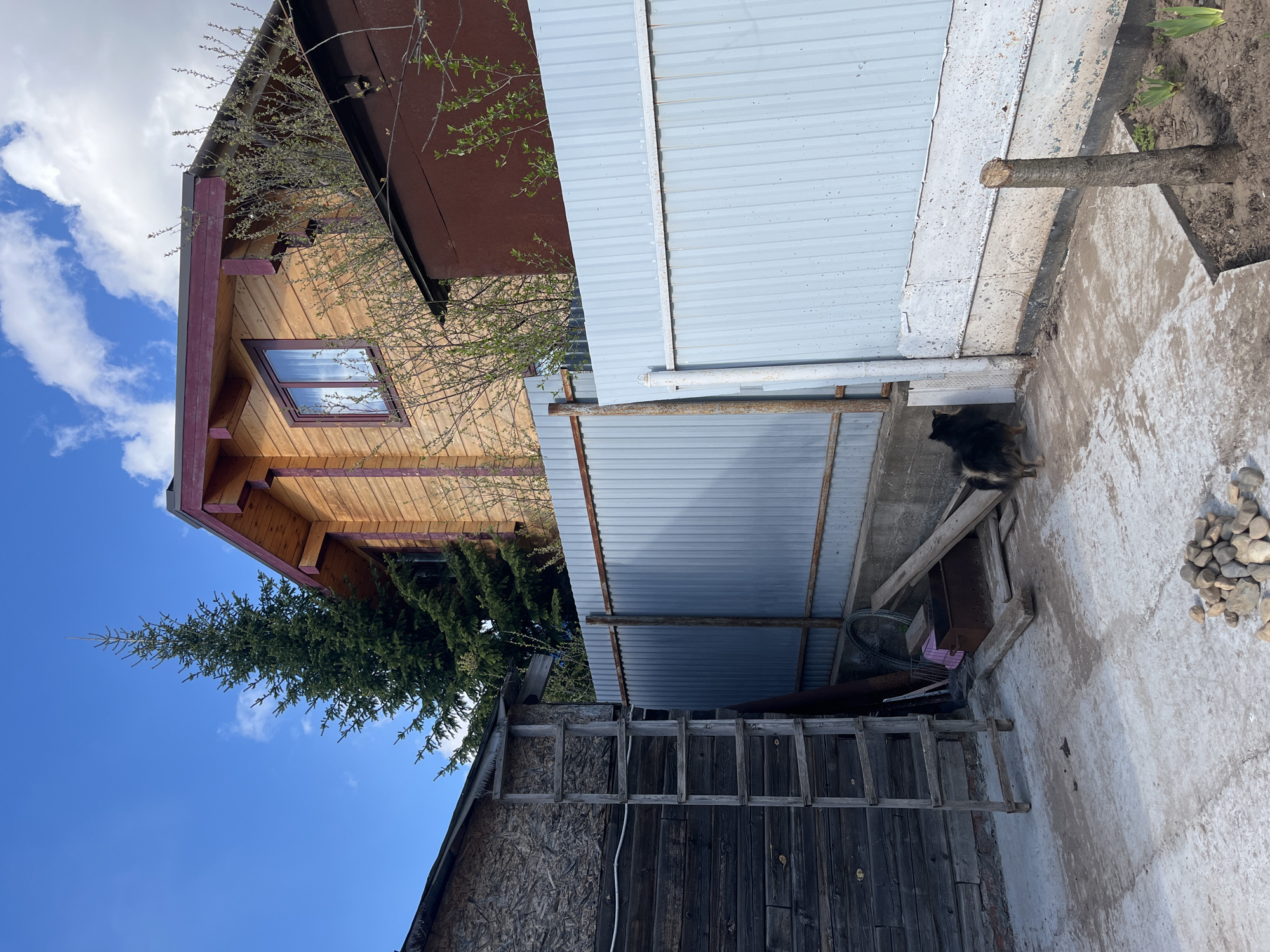 The image depicts an outdoor scene in what appears to be a backyard or side yard. The composition includes multiple structures: a wooden house with a window, a metallic shed, and a dark, wooden building with a ladder leaning against it. A fluffy, medium-sized dog is present near the shed. The ground is concrete with scattered rocks. The sky is visible in the upper left, showing blue sky and clouds. The structures seem to be adjacent to each other, possibly forming a complex of buildings. It is not possible to verify the location in Izhevsk, Russia from the image alone.