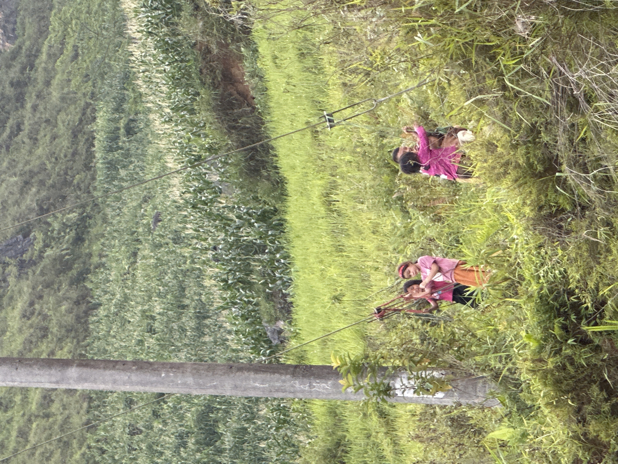 In Đường Thượng Commune, Vietnam, two groups of children are suspended on separate zip lines stretching across a landscape of terraced fields. The children are positioned within a grassy and brushy area. A concrete pole is visible near the bottom of the frame, supporting one of the zip line cables. Terraced hills are visible on the left side of the frame.