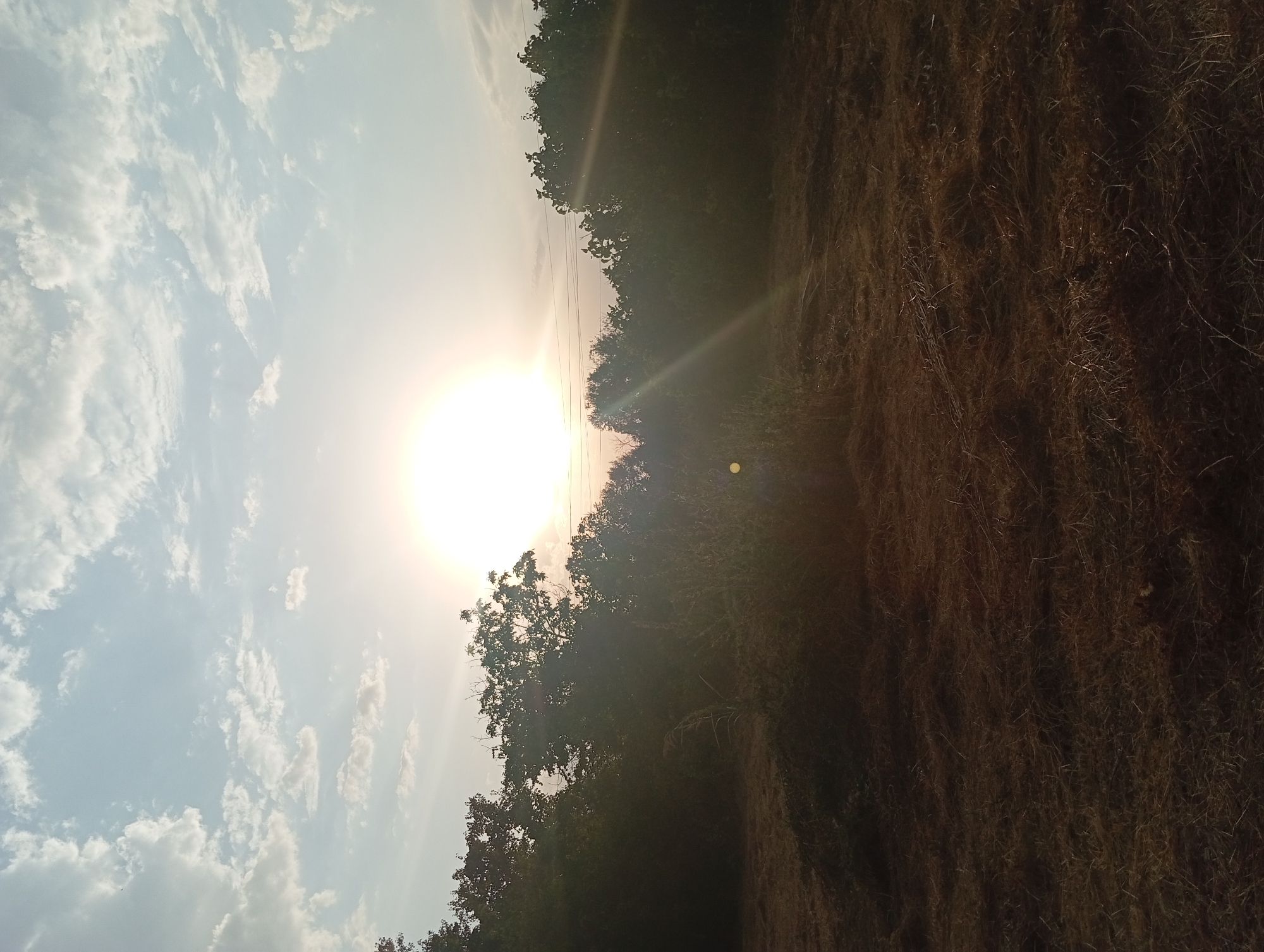 The image depicts a landscape scene with the sun prominently featured in the sky. The sun is bright and positioned towards the top center of the frame, casting a warm glow. A few clouds are scattered across the sky, which appears to be a light blue. In the foreground, there is a field covered in dry grass and some debris. The middle ground is dominated by a dense line of trees and foliage, obscuring much of what lies beyond. The lighting suggests it might be either sunrise or sunset, with a lens flare emanating from the sun and creating streaks of light across the image. There are no people or specific structures visible within the frame. The environment appears to be rural or semi-rural.
