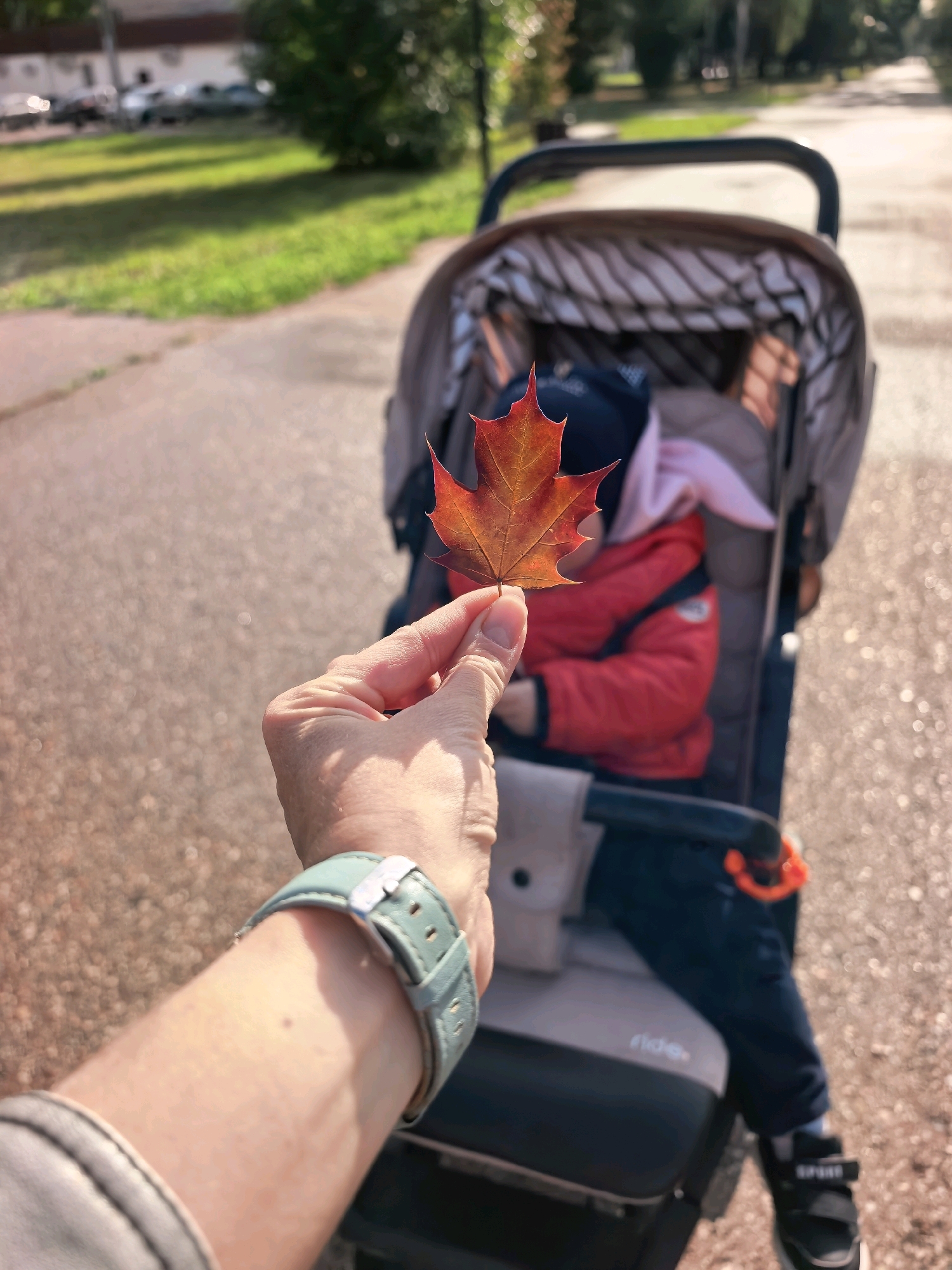 A first-person perspective shot shows a hand holding a red and orange maple leaf in front of a stroller containing a baby. The stroller is in focus, with the baby wearing a red jacket and a dark blue hat. A light blue watch is visible on the person's wrist. The background shows a path and a grassy area, hinting at an outdoor setting, possibly a park or sidewalk. The image was taken in Sterlitamak, Russia, as indicated by the metadata.