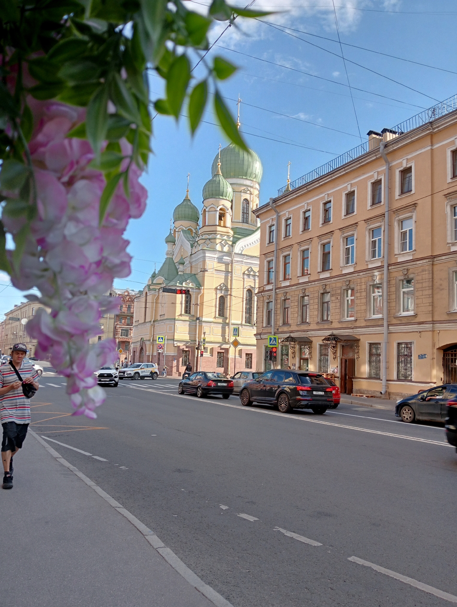 In this medium shot, a man walks along the sidewalk of a street in Saint Petersburg, Russia. He is wearing a striped t-shirt, black shorts, and sneakers, with a dark bag slung across his chest. He is walking away from the camera, facing left, towards a street with several cars.
The street is lined with buildings, including a large, ornate church with green domes and crosses. The church is painted yellow and white, with decorative architectural details. Across the street from the church is a beige building with multiple windows and decorative trim. The sky is clear and blue, suggesting a pleasant day.
The foreground is partially obscured by a branch of pink and green flowers, adding a touch of nature to the urban scene. The cars on the street are modern, with a dark SUV, a black sedan, and a white SUV visible. A motorcyclist is also seen on the road. Traffic lights are visible, indicating an intersection. The overall impression is a sunny day in a city with a mix of historical and modern architecture. The time of day appears to be afternoon, given the angle of the sunlight.