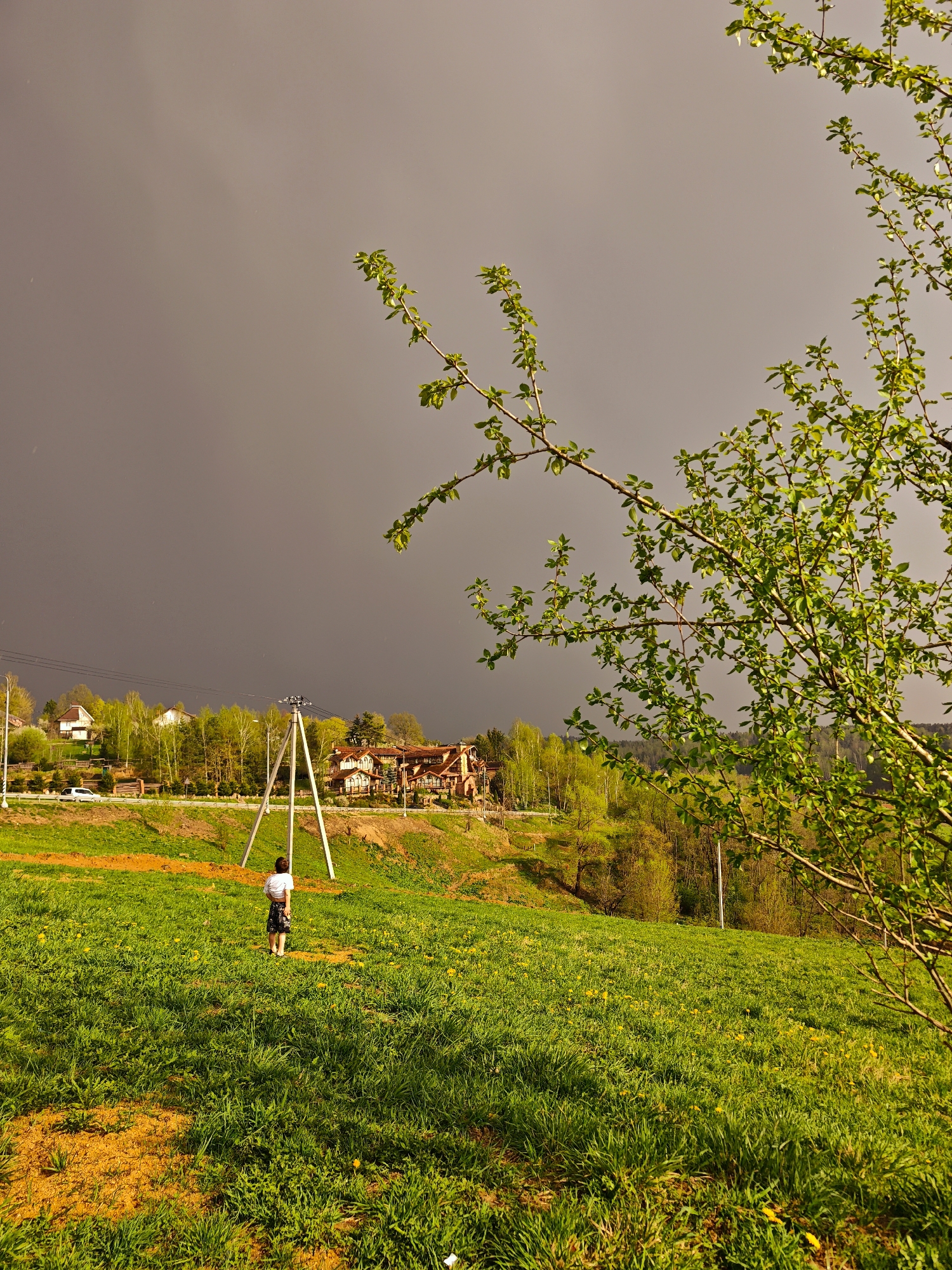 The image shows a person standing in a grassy field under a dark, overcast sky in what appears to be Ильинское, Russia. The person is facing away from the viewer and appears to be near the base of an electric power tower structure. In the background, there is a road, trees, and buildings situated on a rise. A tree branch with new leaves is visible in the right foreground, partially obscuring the background details. The field is green with patches of yellow flowers and some bare earth.
