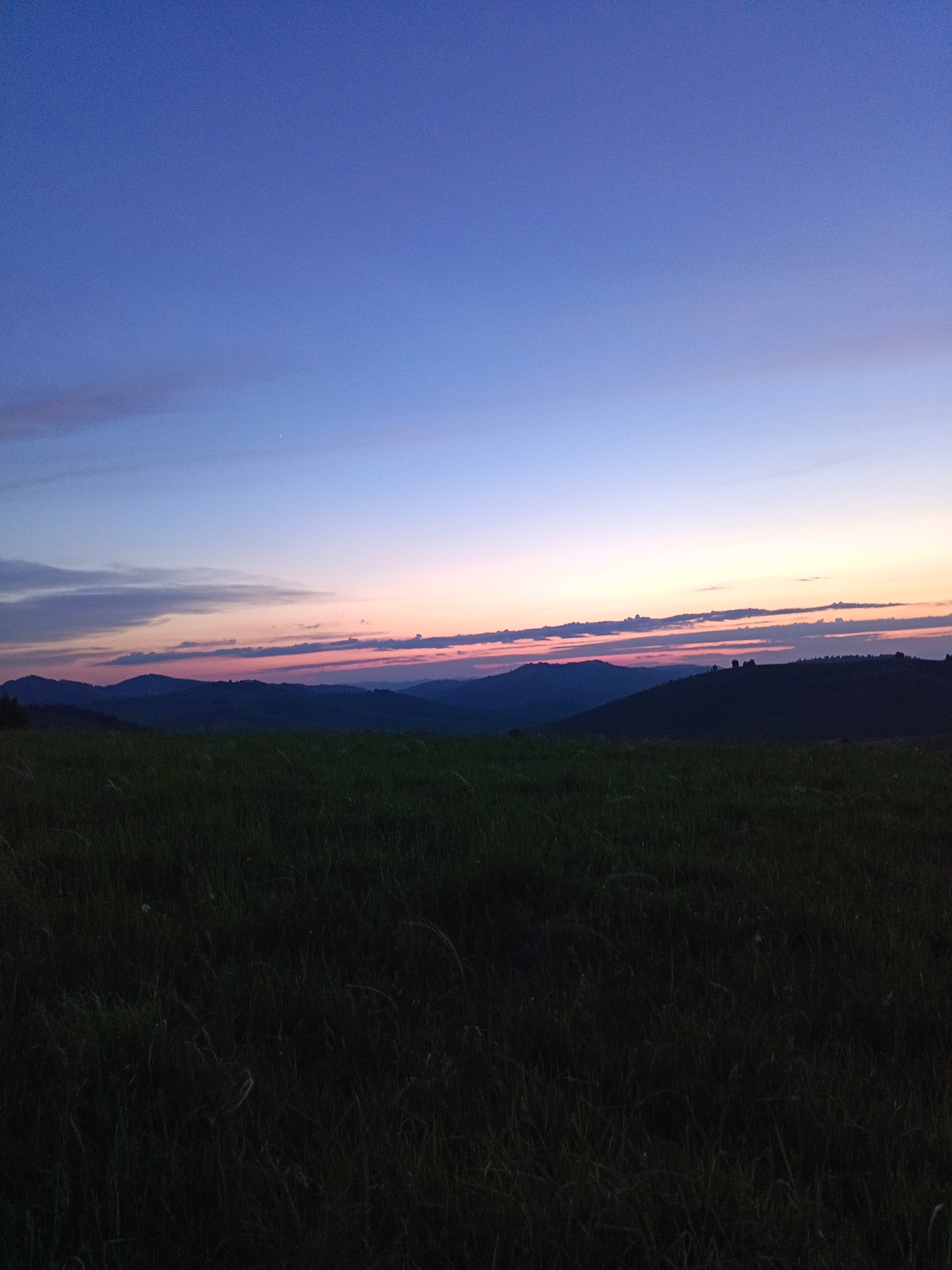 The image depicts a serene twilight landscape in Sadovyi, Russia. The foreground is dominated by a dark, grassy field, with the blades of grass rendered almost black due to the low light conditions. Beyond the field, a series of rolling hills are silhouetted against the horizon. The sky transitions from a deep, dusky blue at the top to lighter shades of purple and pink near the horizon, where thin bands of clouds are illuminated by the fading sunlight. The overall impression is one of quiet natural beauty at dusk.
