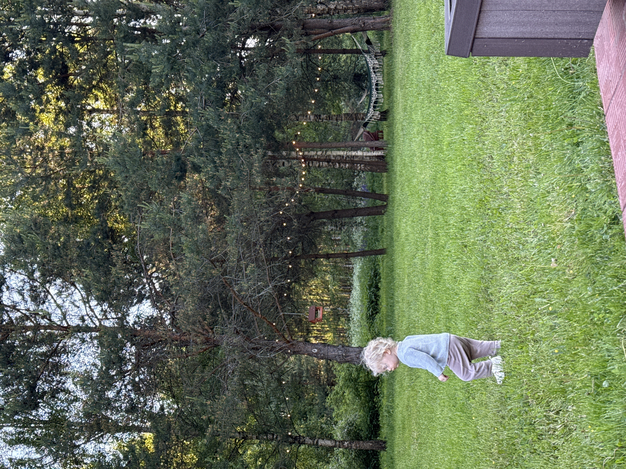 A small child with blonde curly hair, dressed in a light blue long-sleeved top, light brown pants, and white shoes, walks across a vibrant green lawn in an outdoor setting in Копнино, Russia. The child is positioned in the lower-left quadrant of the frame, facing left. The background is characterized by a dense tree line consisting of tall coniferous and birch trees, through which sunlight filters. A string of illuminated warm-toned lights is strung between several trees in the middle ground. To the left-center, a red, house-shaped bird feeder hangs from a tree trunk. Further to the right, a white and green patterned hammock with tassels is suspended between two trees. The foreground on the right reveals a dark brown, textured outdoor structure and a red brick-patterned surface.