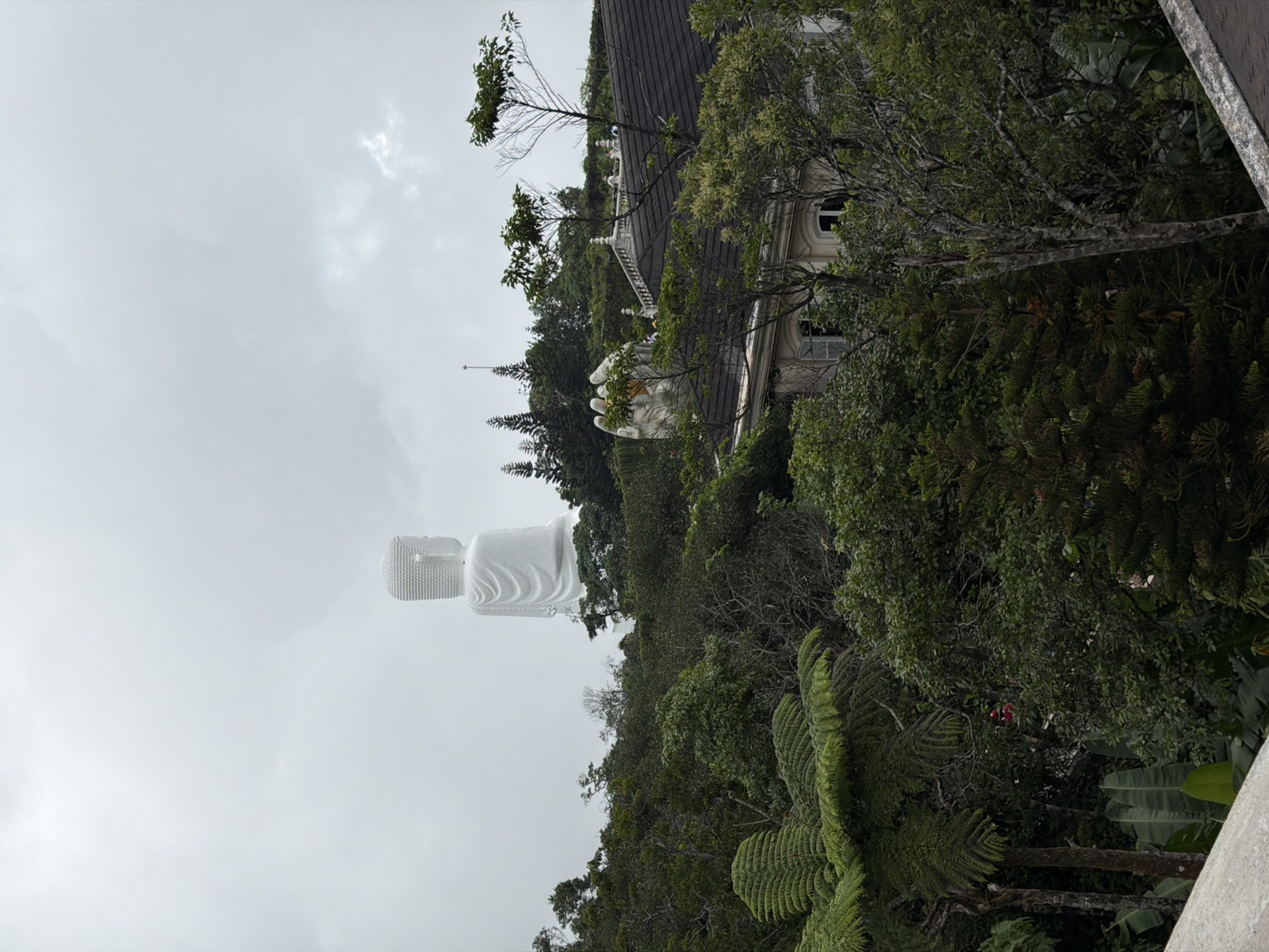 The image captures a view of the Golden Bridge in Đà Nẵng, Vietnam, with a colossal white Buddha statue prominently featured in the background against a cloudy sky. In the foreground, lush green foliage, including ferns and trees, partially obscures a building with a dark tiled roof and visible windows. The building appears to be a part of the resort complex associated with the Golden Bridge. A large, sculpted hand emerges from behind the trees, characteristic of the bridge's design. The overall scene suggests a misty or overcast day, adding a dramatic atmosphere to the landscape.