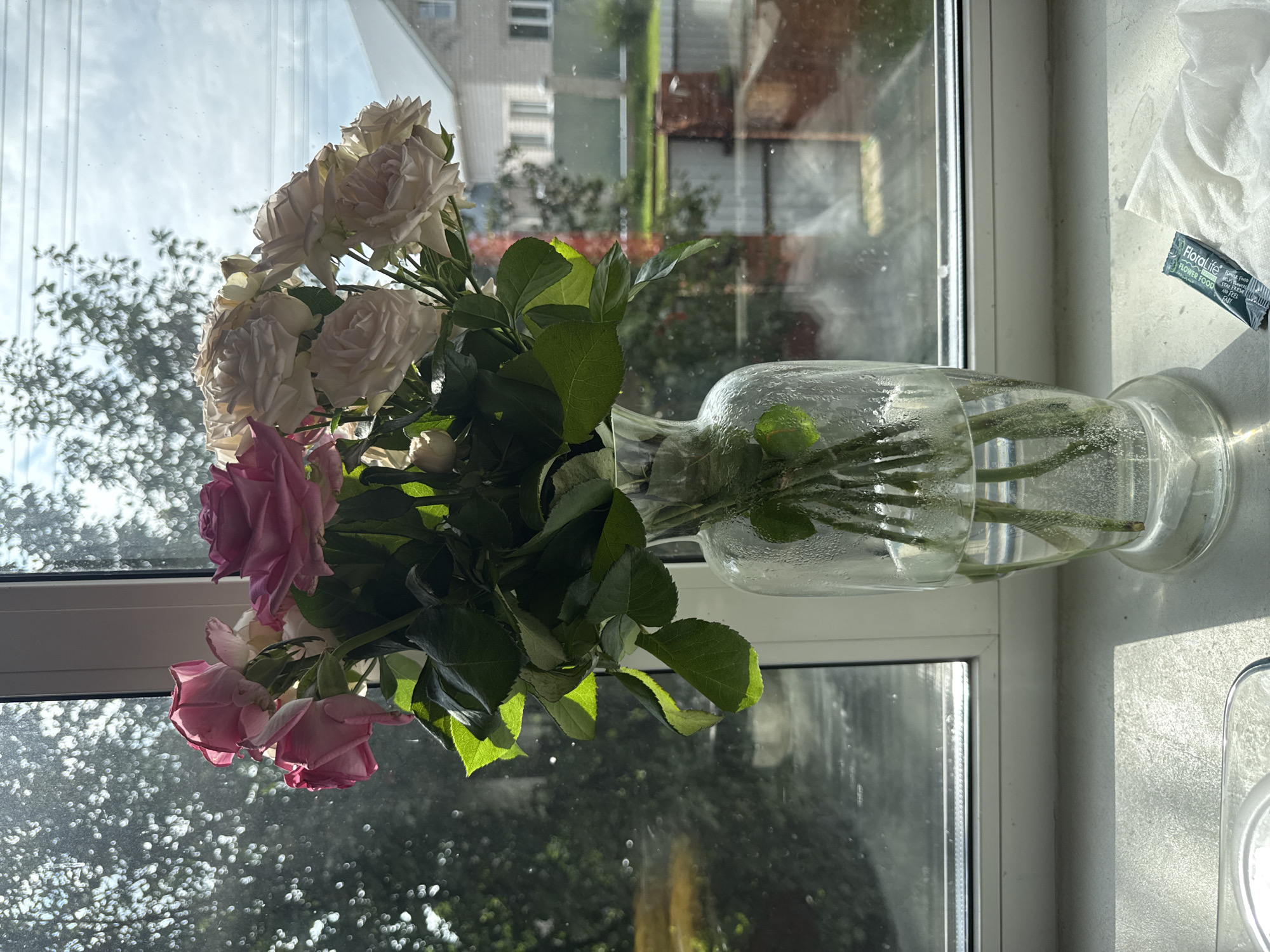 A bouquet of pink and white roses is placed in a clear glass vase filled with water. The vase sits on a windowsill in front of a window that looks out onto a suburban backyard with houses and trees. Sunlight streams through the window, illuminating the flowers and casting shadows. A small packet labeled "Floralife" and a crumpled white tissue are also visible on the windowsill. The scene suggests a domestic setting, likely in a residential area.
