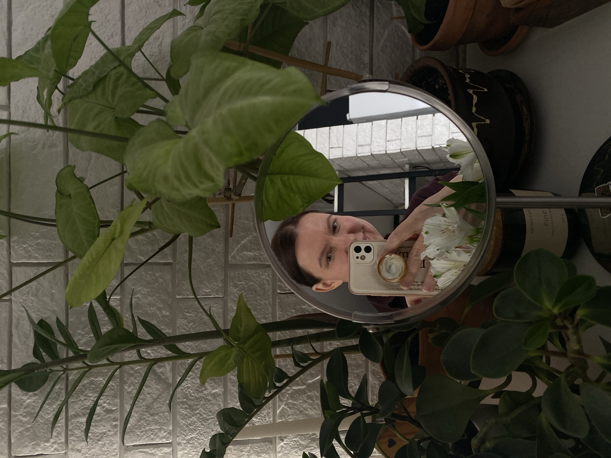 A woman is taking a selfie in a round mirror surrounded by plants. The reflection in the mirror shows part of the woman's face and her phone. The phone has a white case and a round grip on the back. There are white flowers visible in the reflection as well. The plants surrounding the mirror include a Syngonium with light green leaves and a ZZ plant with dark green leaves. There are also potted plants on a shelf above the mirror. The background wall appears to be made of white brick. A bottle of ARGANICA Pine oil is also visible. It is unclear whether this scene is located in Chaikovsky, Russia.