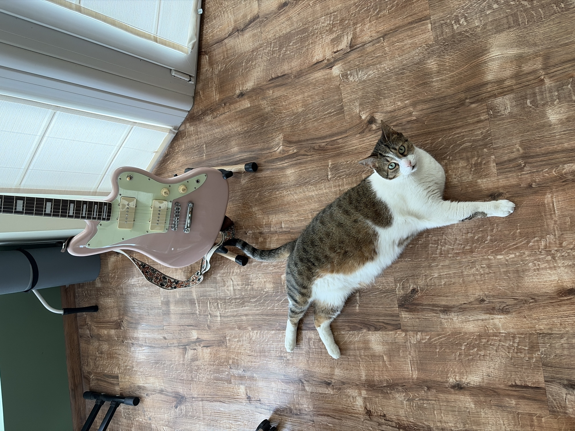 A tabby and white cat is lying on a wood-patterned floor next to a pink electric guitar on a stand. The cat is on its side with its front legs extended and its head turned towards the camera. The guitar is a Fender Jaguar model with a light green pickguard and cream-colored pickups. The background includes a wall with a green accent and a window with blinds. The scene appears to be indoors in a residential setting.