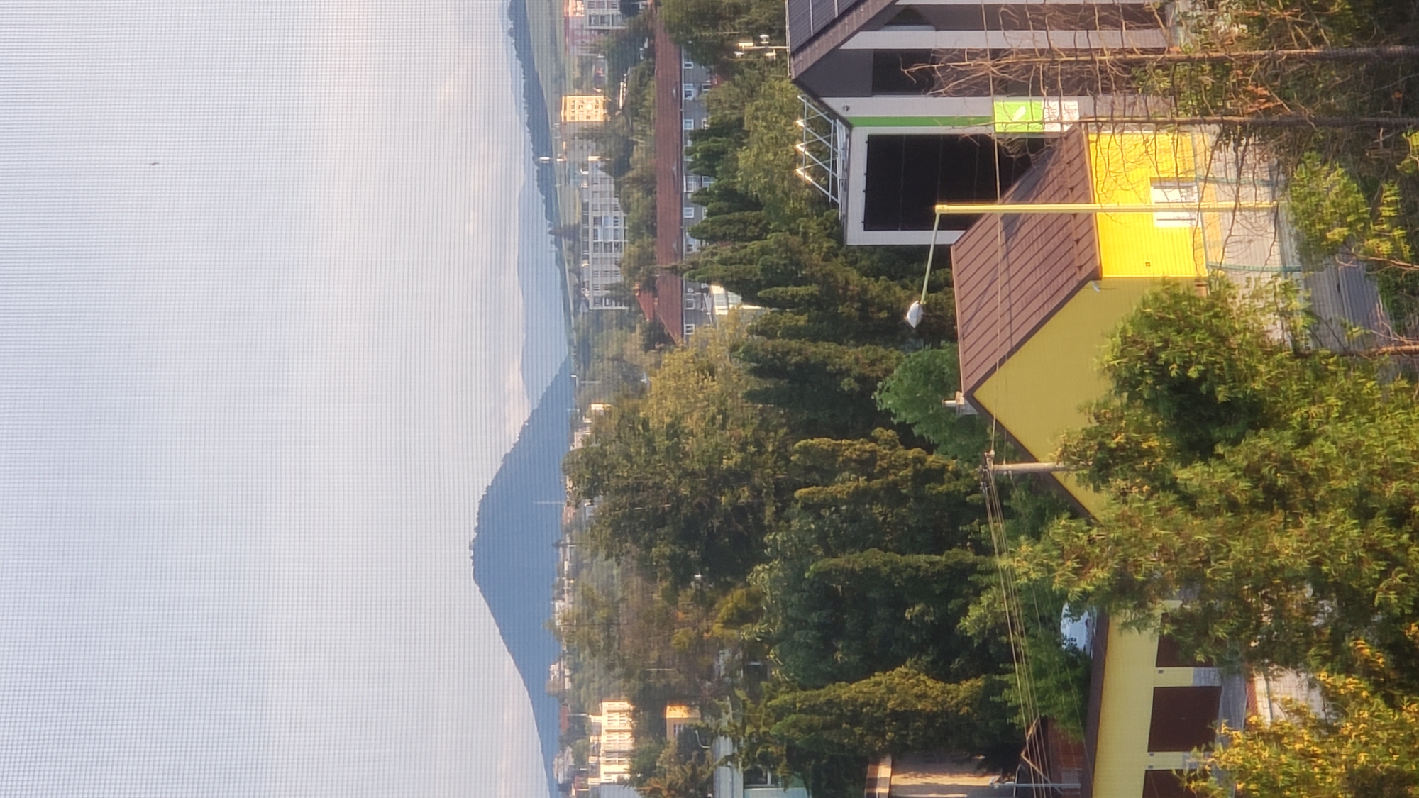 This is a medium shot photograph taken from a window, possibly on an upper floor, looking out over a residential area and distant hills. The foreground features a bright yellow house with a brown, gabled roof and white-framed windows. To the left of the yellow house, there appears to be a garage with brown doors. Behind these structures, a dense collection of evergreen trees, some tall and columnar, and others more rounded, forms a thick barrier. Further back, various residential buildings are visible, including a grey apartment building with multiple floors and balconies, and several other multi-story structures in lighter colors. A prominent, conical-shaped hill with a cluster of buildings at its summit dominates the background, softened by atmospheric haze. The sky above is a pale, hazy blue with a faint grid pattern, likely from the window screen through which the photo was taken. A very small, indistinct flying object, possibly a drone or bird, is visible high in the sky. The scene appears to be a suburban or semi-urban landscape on a clear day, with the distinctive silhouette of Šariš Castle or a similar prominent hill in the distance, suggesting the location is Prešov, Slovakia.
