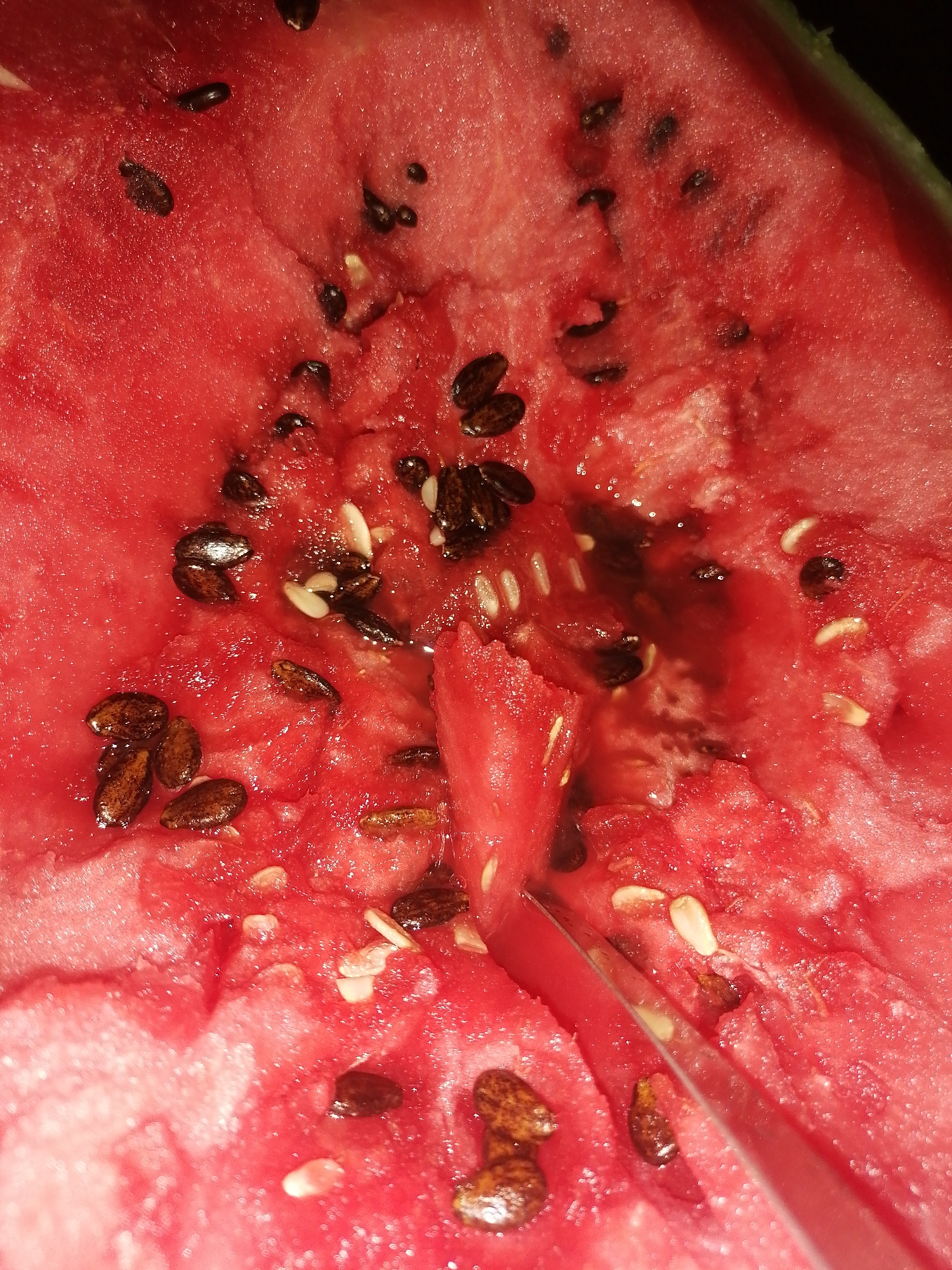 A close-up, high-angle shot captures a section of a ripe watermelon with visible seeds and juice. The watermelon flesh is a vibrant red, with some areas appearing more saturated due to the presence of juice. Numerous black and brown seeds are scattered throughout the flesh, some lying flat while others are partially submerged in the liquid. A silver utensil, likely a knife or fork, is partially visible on the right side of the frame, suggesting the watermelon is being prepared or eaten. The background is dark and out of focus, emphasizing the texture and color of the fruit. The scene is devoid of any indications of location within Novopokrovka, Russia, or any human presence.