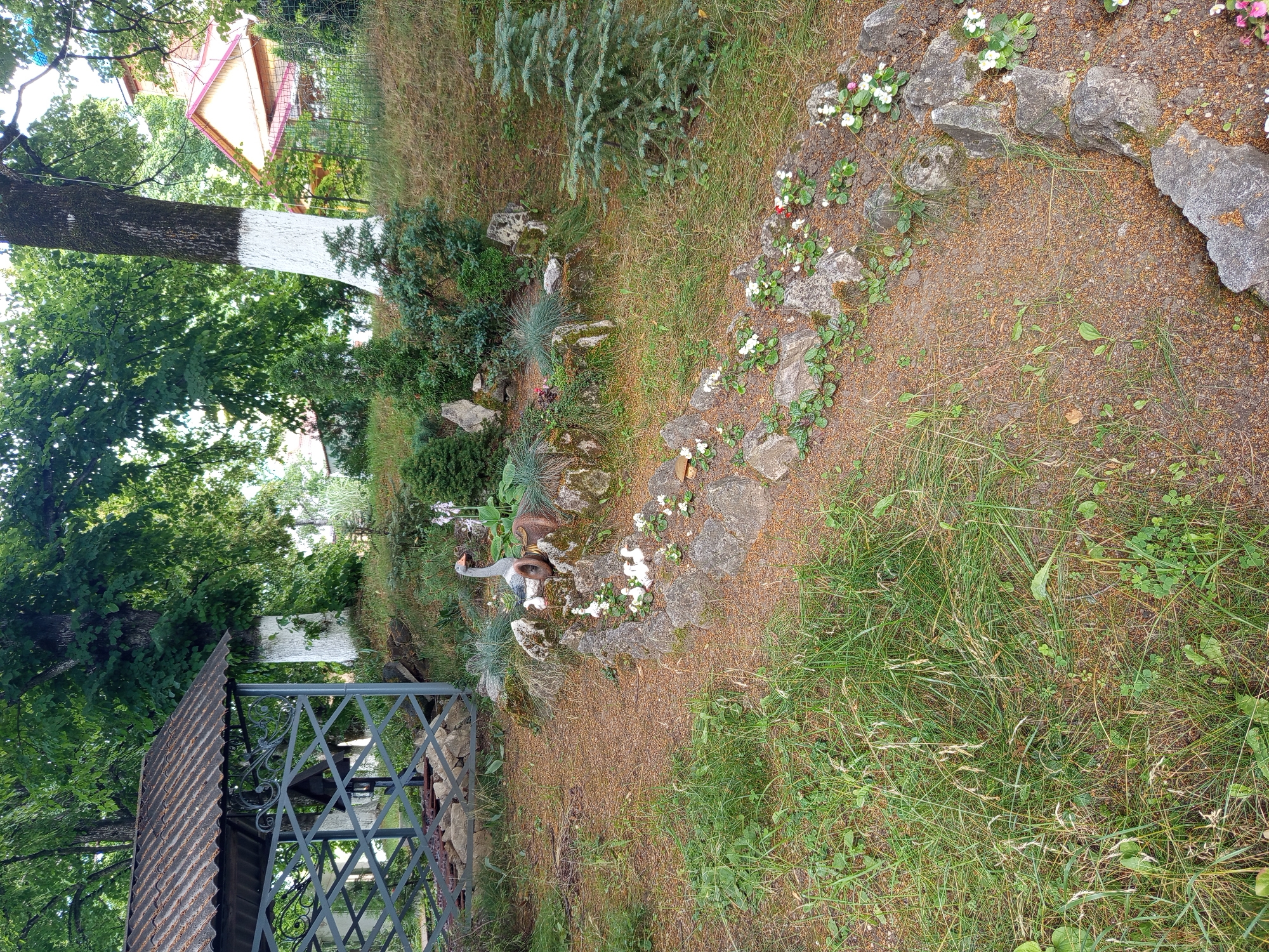 The image depicts a tranquil garden scene with a focus on a decorative arrangement of garden figures resembling geese and ducklings, strategically placed among rocks and small plants. The figures are arranged in a slightly elevated area, creating a focal point within the garden. A path, outlined by rocks, winds through the scene.
To the left of the frame, a partially visible gazebo with a corrugated metal roof stands. The gazebo is constructed with grey metal latticework, and inside, what appears to be a simple structure or perhaps a well is visible. Surrounding the gazebo and extending into the background are mature trees with lush green foliage. Some tree trunks have been painted white near their bases.
In the background, a wooden house with a pink-tiled roof is visible through the trees. The environment suggests a rural or suburban setting, possibly a private garden or a public park area. The ground is covered with a mix of grass, loose soil, and small pebbles. The overall impression is one of a well-maintained, slightly rustic outdoor space.
This specific scene is located in the city of Giaginskaya, Russia. The presence of the gazebo, the style of the house, and the type of vegetation are consistent with typical landscaping and architecture found in this region. The garden appears to be a place of leisure and decoration, designed to be visually appealing and serene.