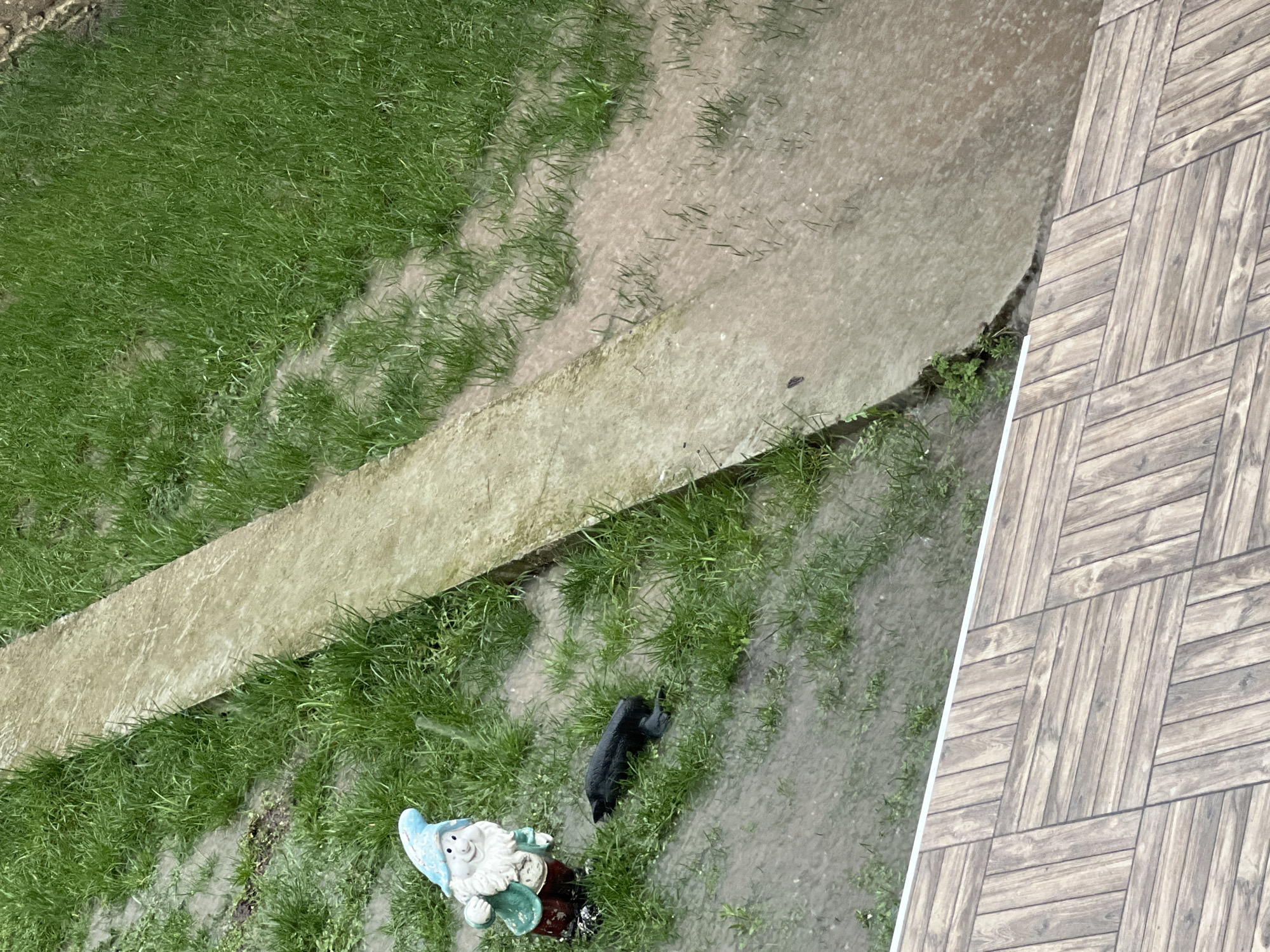 The image shows a garden scene in Gradishte, Bulgaria. There is a patch of grass adjacent to a concrete walkway and a tiled patio area. A garden gnome and a small, broken black object are visible in the grass near the walkway. The ground is wet, suggesting recent rain or flooding.