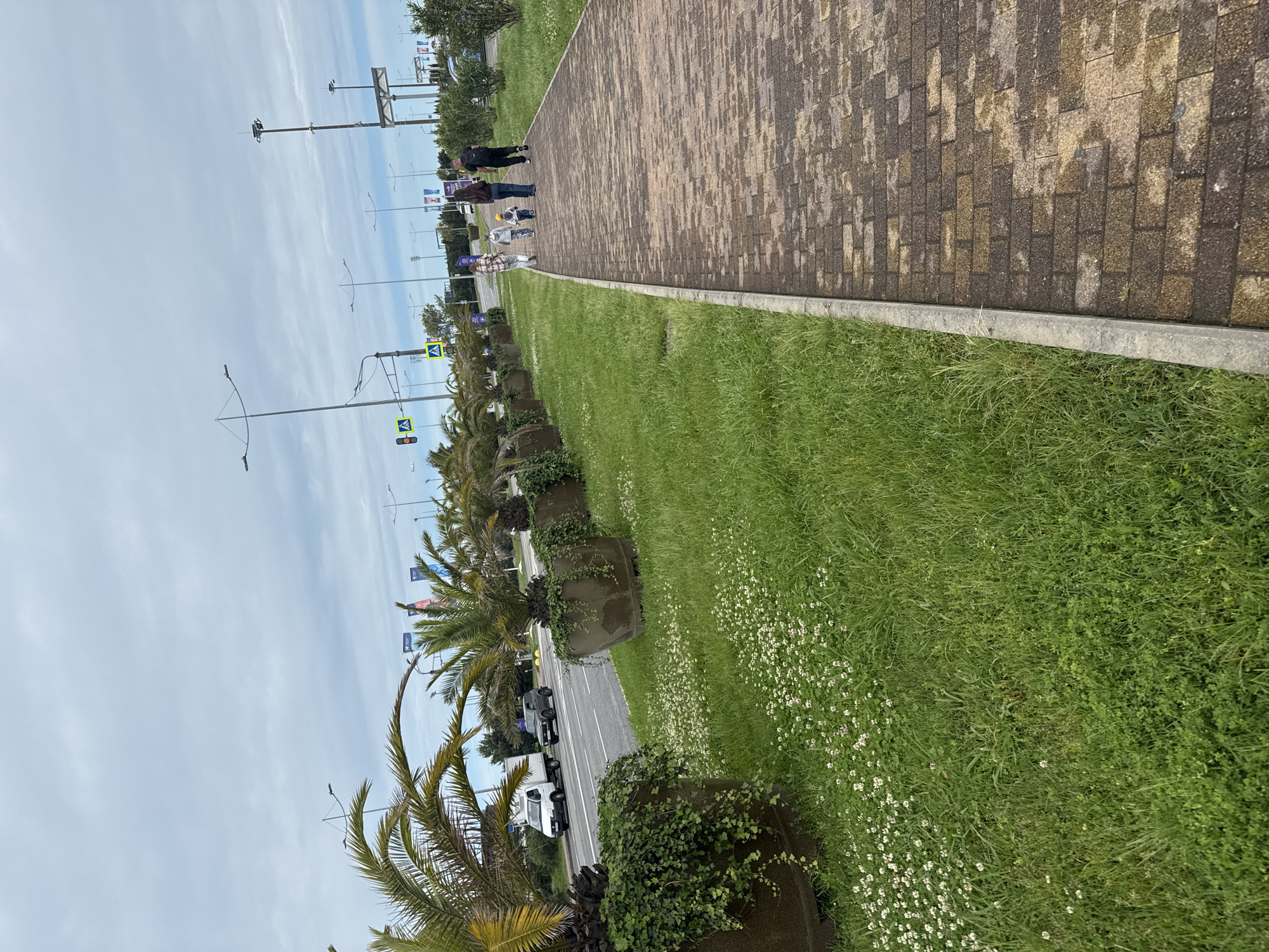 The image depicts a street scene in Sirius, Russia. A brick-paved sidewalk runs parallel to a grassy area, which is interspersed with small white flowers and lined with potted palm trees. A road with vehicular traffic is visible beyond the palm trees. Overhead, lampposts are present. Several pedestrians are walking on the sidewalk. The sky is overcast.
