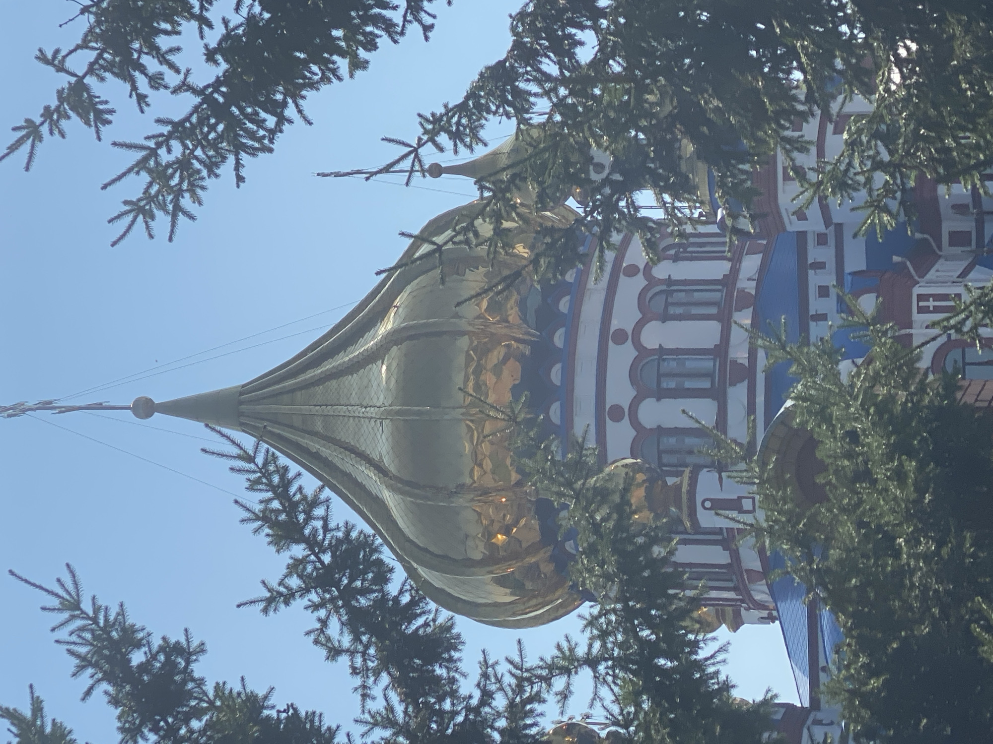 A golden dome of a Russian Orthodox church is visible through the branches of evergreen trees under a clear blue sky. The church has white walls with red trim and blue roofs. The golden dome is bulbous and segmented, reflecting the sunlight. The branches of the trees in the foreground are dark green and out of focus, creating a natural frame for the church. The image appears to be taken from a slightly low angle, looking up towards the dome. The scene suggests a bright, sunny day. This is likely the Church of the Transfiguration in Novokuznetsk, Russia, known for its prominent golden domes.