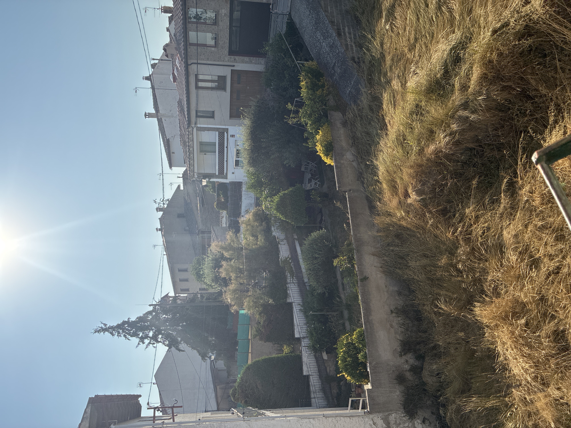 The image depicts a residential area under a clear, sunny sky, with the sun's rays creating a lens flare effect. In the foreground, dry, tall grass covers a slope. A concrete retaining wall runs horizontally across the mid-ground. Behind the wall, a terraced garden with various shrubs and trees is visible. A set of stairs with a black metal railing descends through the garden. In the background, several houses with tiled roofs are clustered together. A tall evergreen tree stands prominently among them. The architecture suggests a European setting, potentially in the town of Castellterçol, Spain, characterized by its traditional residential buildings and natural landscaping. No people or specific actions are captured in the image.