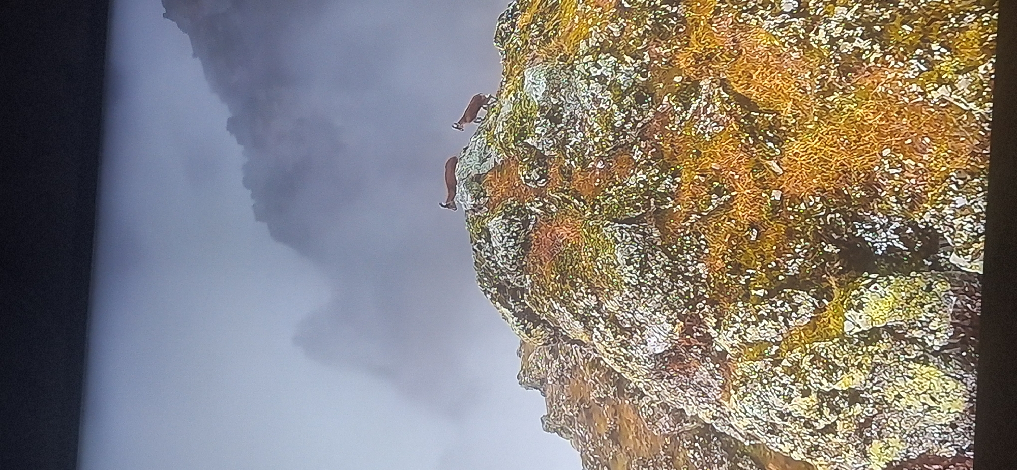 The image displays two chamois standing on a rocky, moss-covered mountain peak. The environment is characterized by fog and mist, obscuring the background and creating a hazy atmosphere. The foreground consists of rugged terrain with patches of dry grass and rocks. The chamois are depicted in a natural setting, suggesting a wildlife or nature scene. The image does not depict any elements related to the city of Bila Tserkva, Ukraine, nor does it contain any human presence or urban landscape features.
