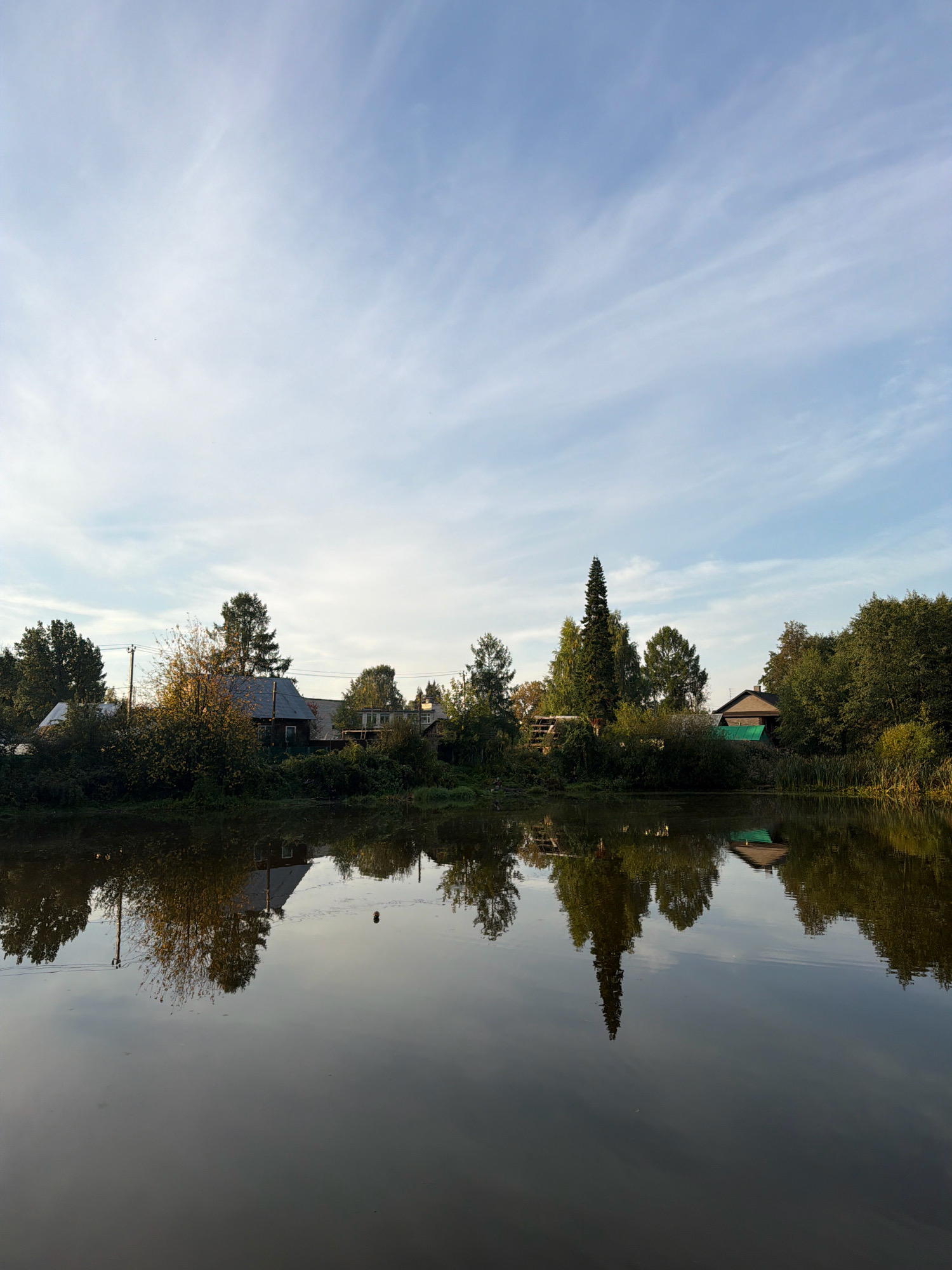 This is a wide-angle, eye-level, landscape photograph taken outdoors in Chaikovsky, Russia. The scene depicts a tranquil body of water in the foreground, reflecting the sky and the opposite bank. The sky is a soft blue with thin, wispy white clouds. The water is dark and still, with clear reflections of trees, buildings, and the sky.
Along the far bank, a line of trees and vegetation is visible, interspersed with several rural-style houses. The architecture appears to be simple, with wooden or brick structures and pitched roofs. One building has a green roof. The trees exhibit a mix of deciduous and coniferous species, with some showing autumnal colors. There are also utility poles and wires visible along the bank.
The overall impression is one of a peaceful, rural setting, possibly a village or dacha community, situated beside a calm body of water. The lighting suggests it is either early morning or late afternoon, with the sun casting soft light. There are no people or animals clearly visible in the image.