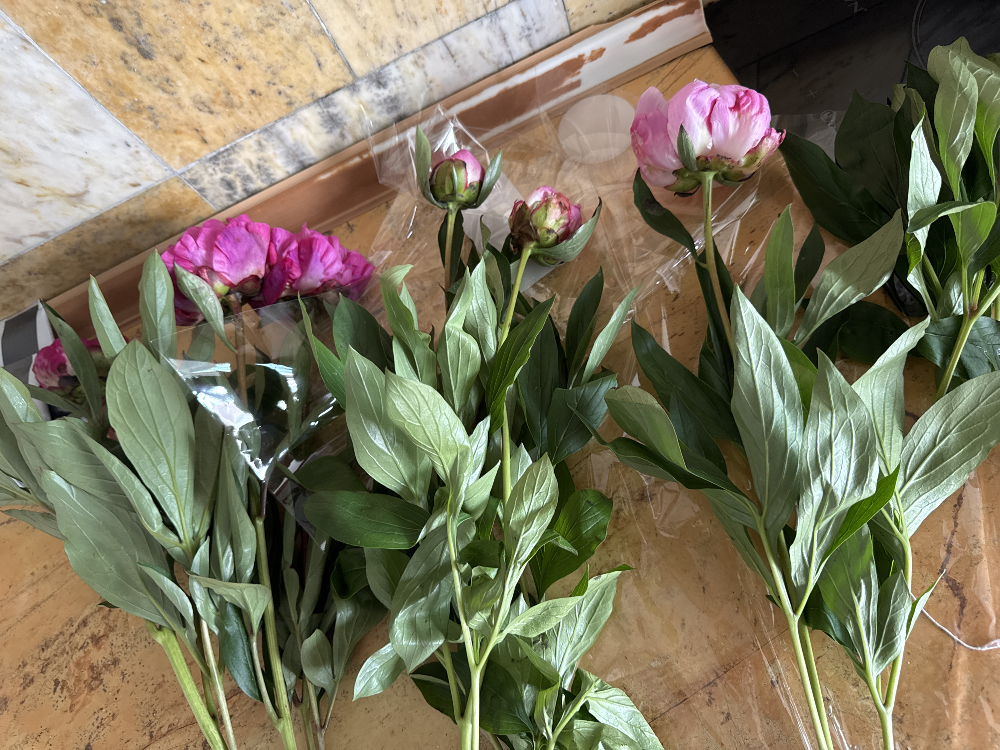 This image shows a bouquet of pink peonies with green leaves, resting on a wooden surface. The peonies are partially wrapped in clear plastic. The background shows a tiled floor with yellow and white patterns. The image is taken from a top-down perspective, with the flowers arranged diagonally. The scene appears to be indoors. There are no people or animals present in the image, and no identifiable landmarks or specific locations within Plovdiv, Bulgaria, are visible.